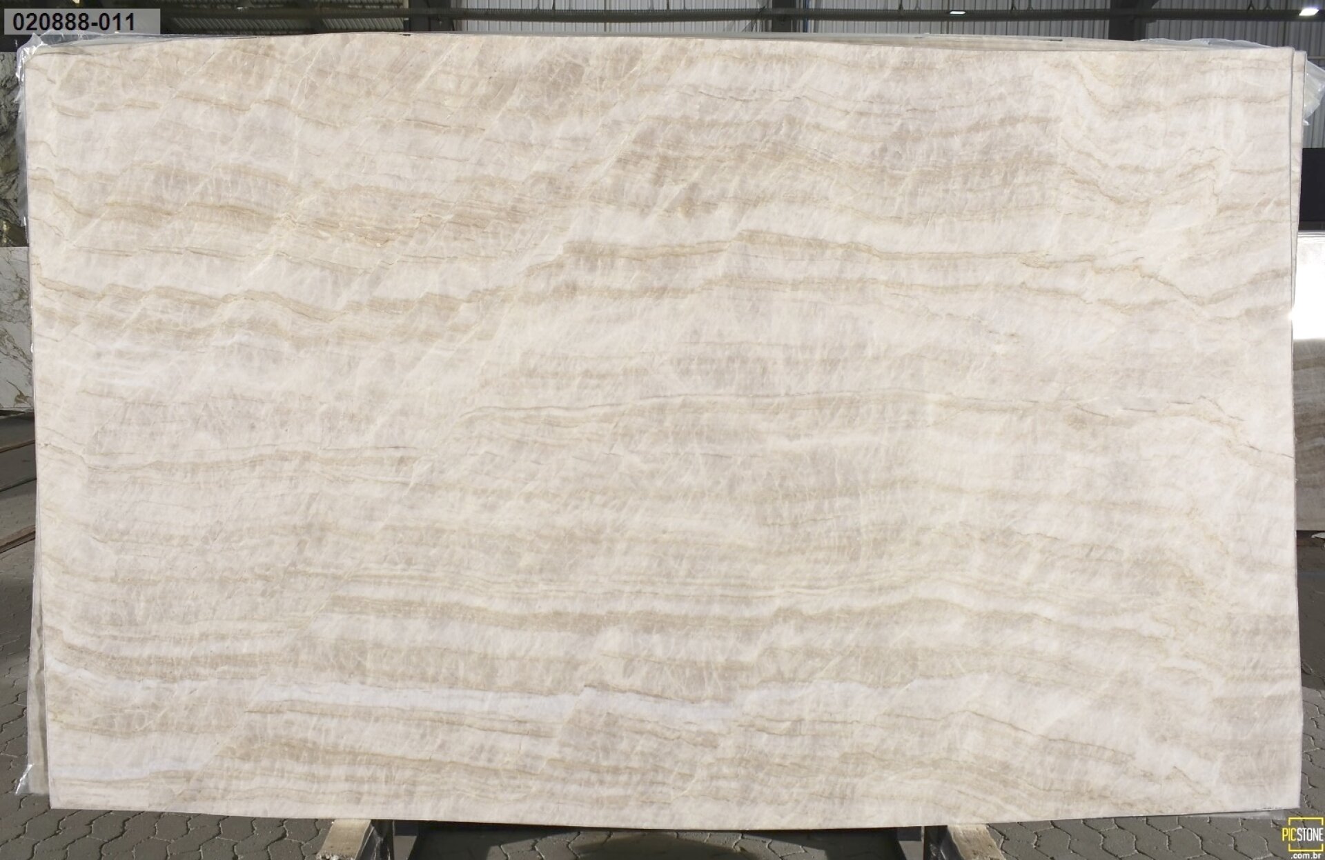 Taj Mahal Quartzite slab at Modul Marble