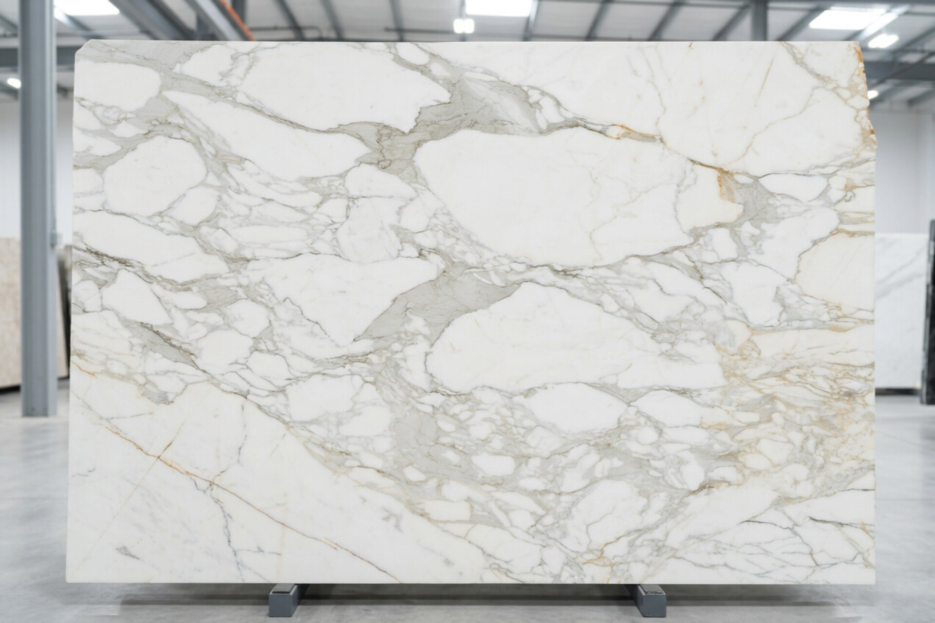 Calacatta Gold Marble slab at Modul Marble