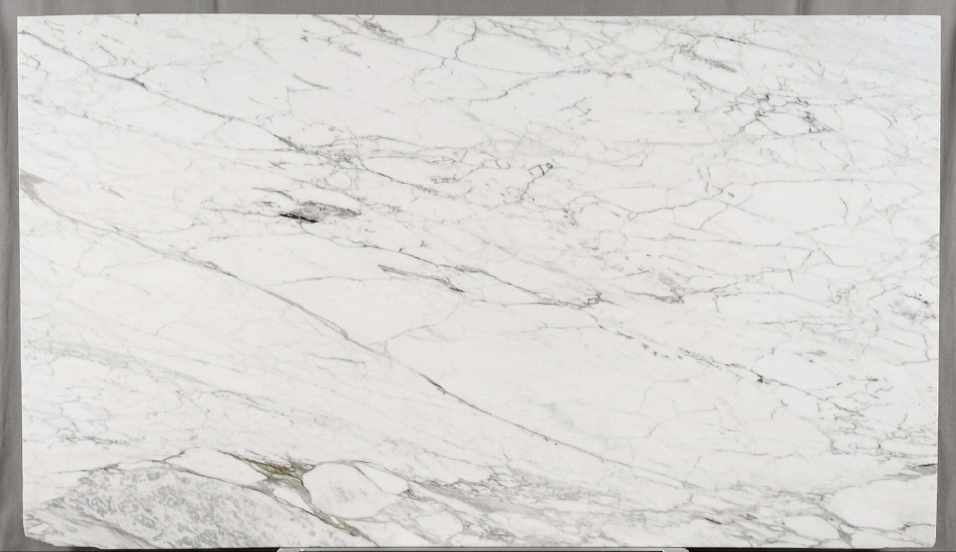 Calacatta Gold Marble slab at Modul Marble