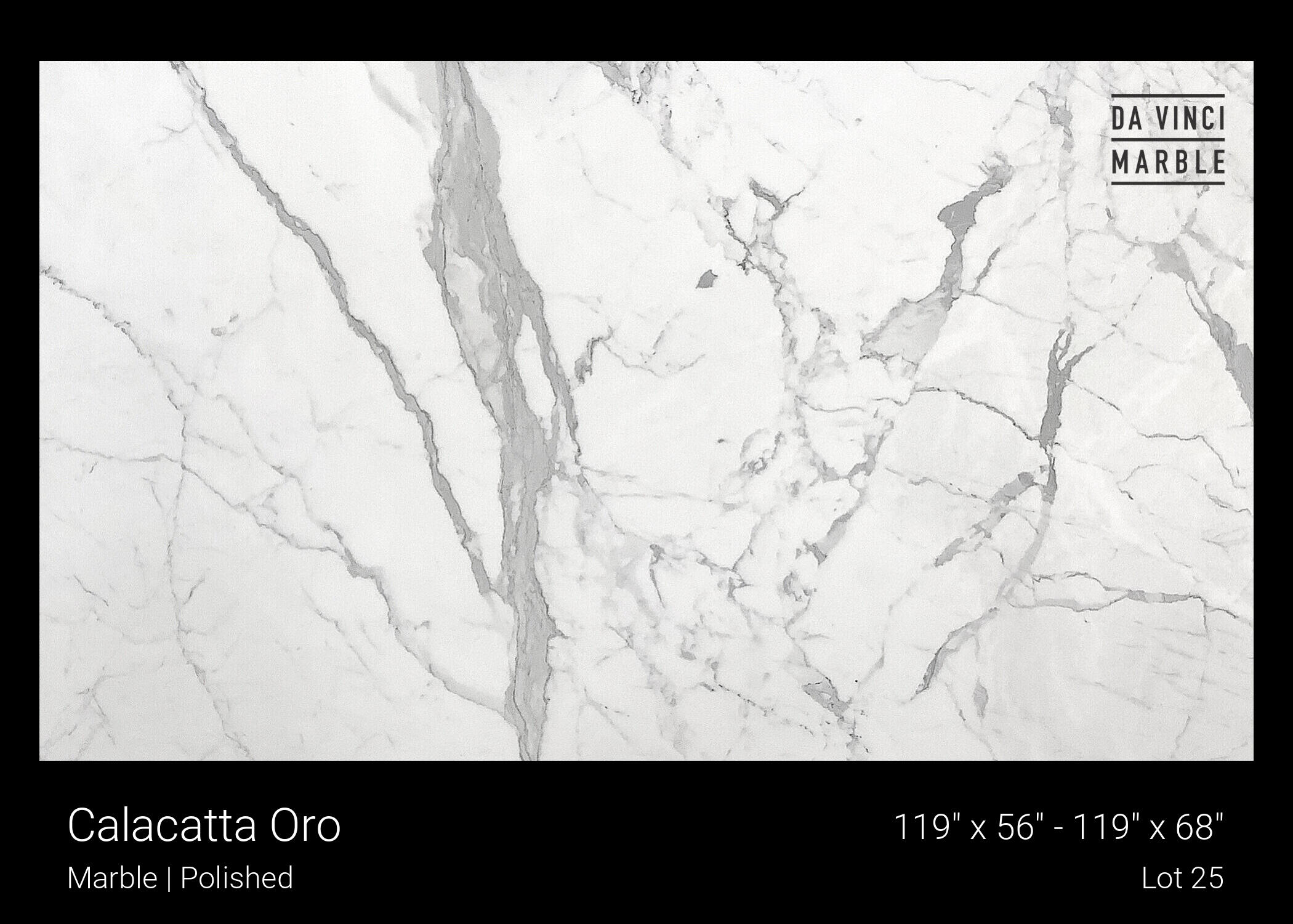 Calacatta Oro Slab