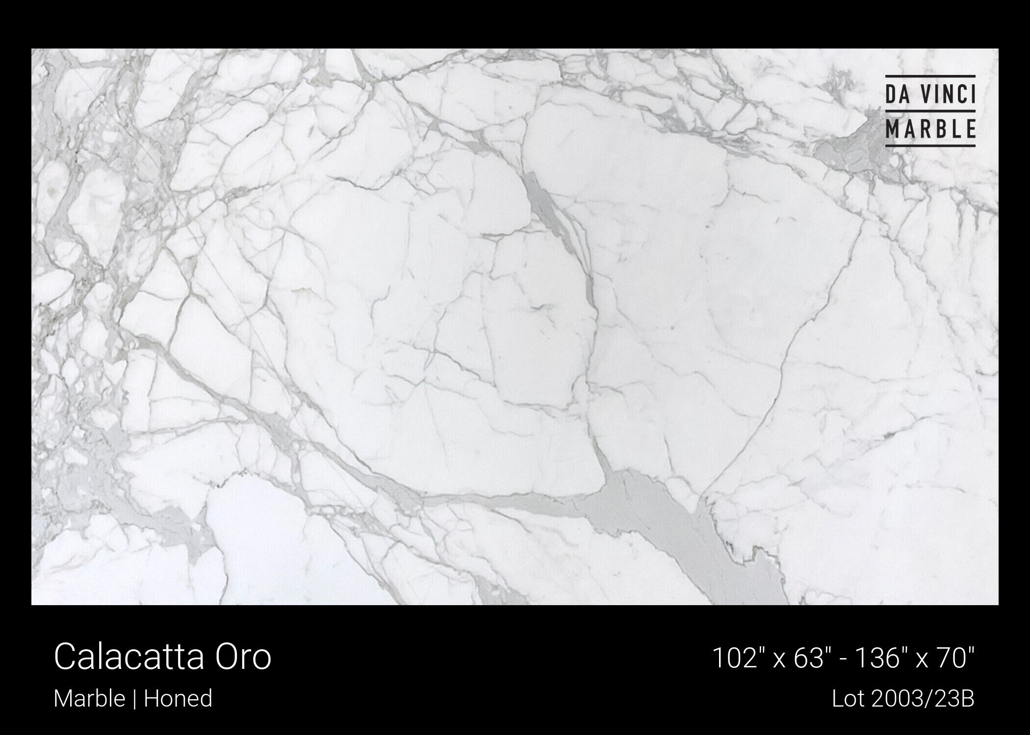Calacatta Oro Slab