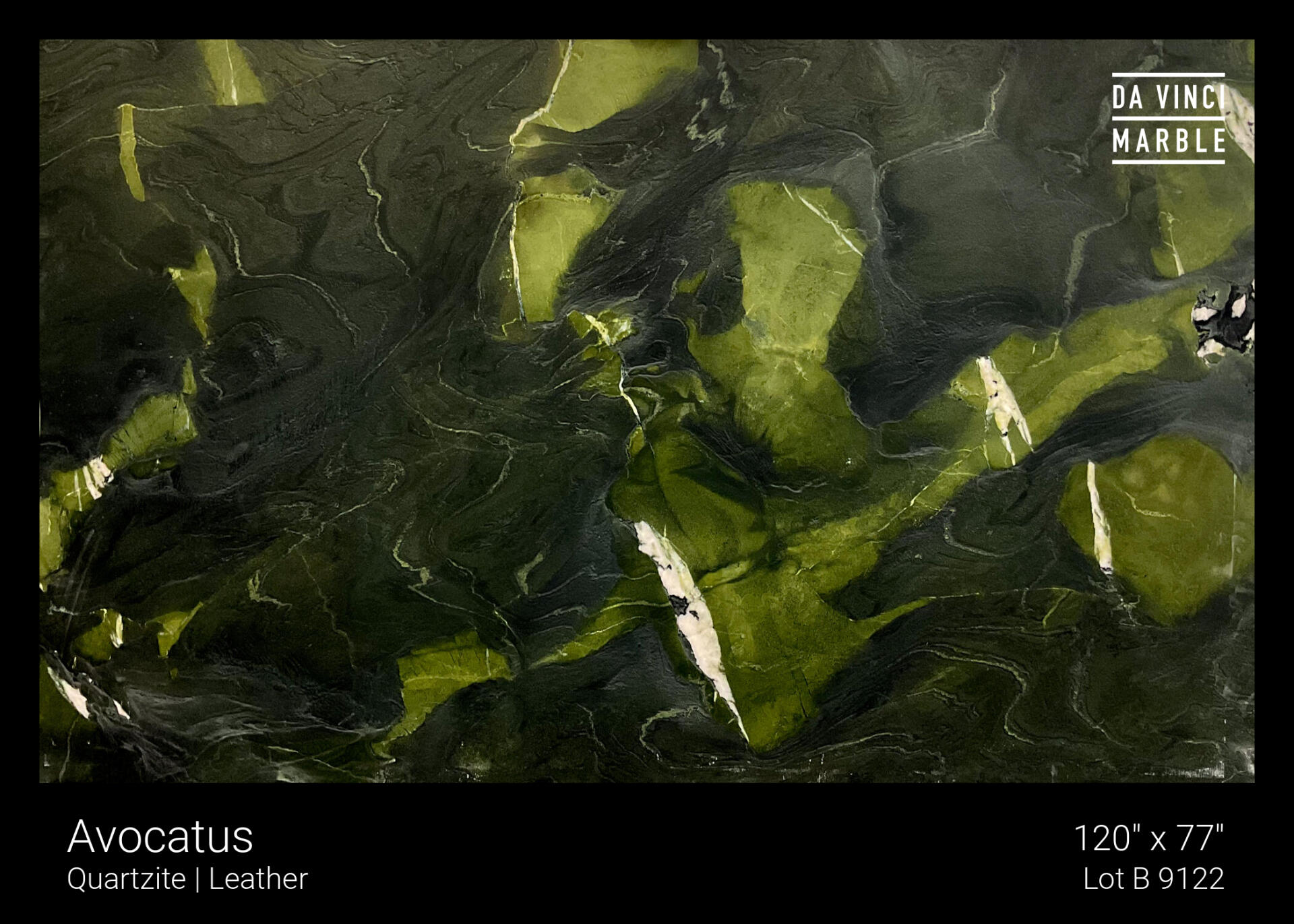 Avocatus