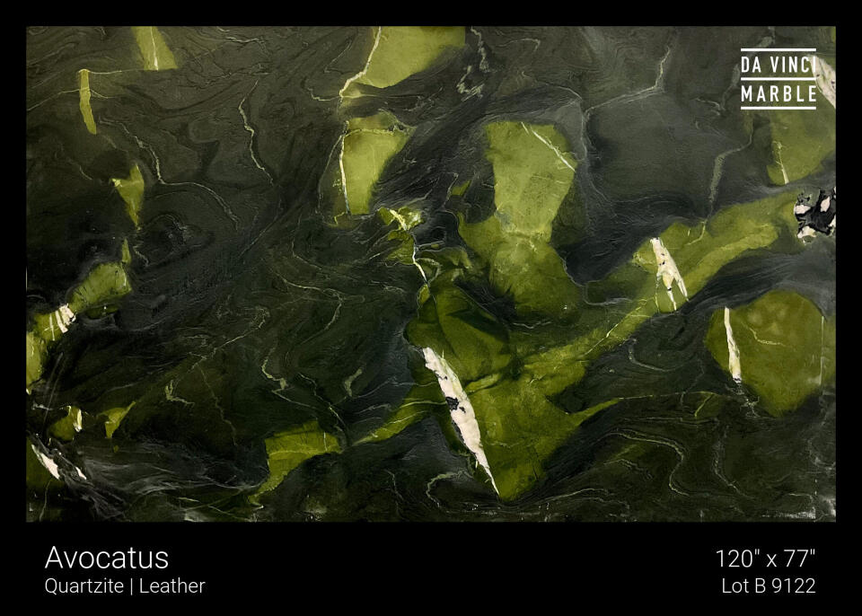 Avocatus