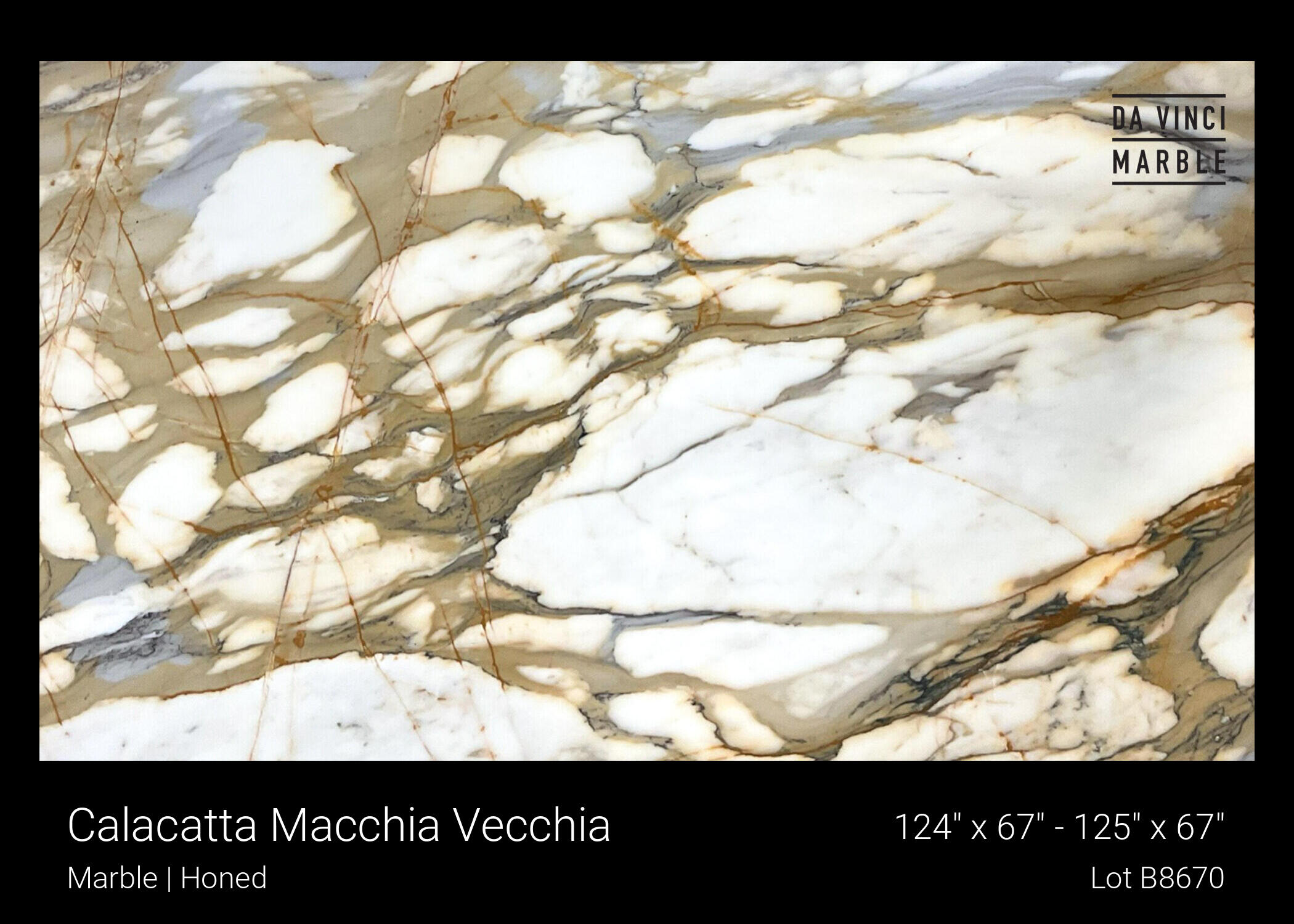 Calacatta Macchia Vecchia Slab