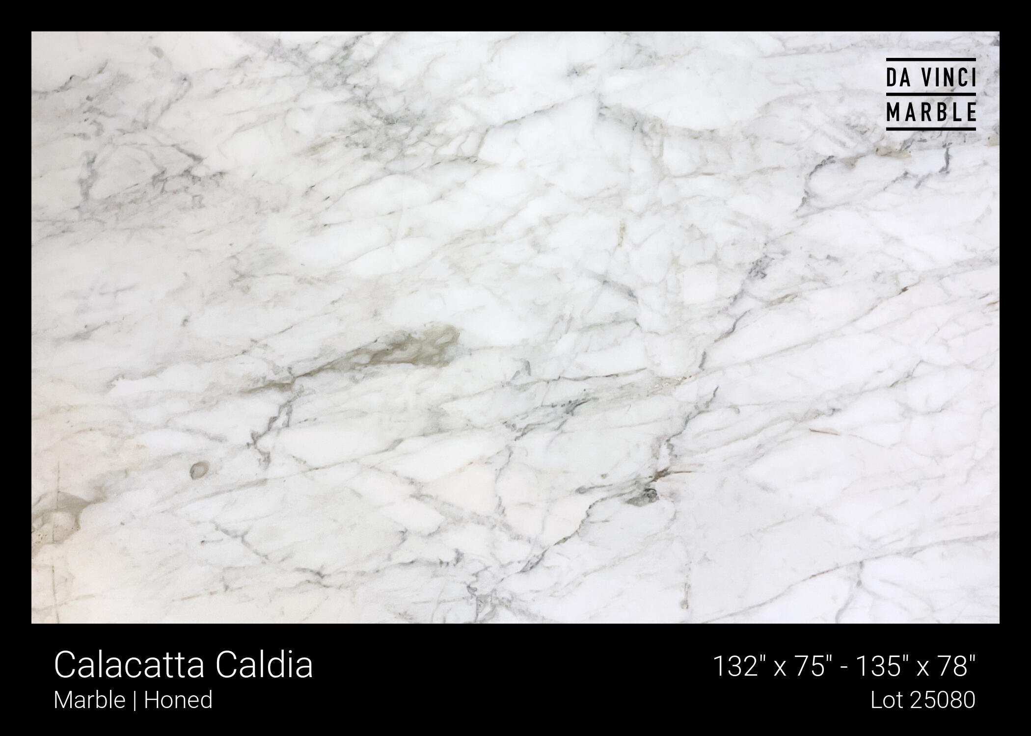 Calacatta Caldia Slab