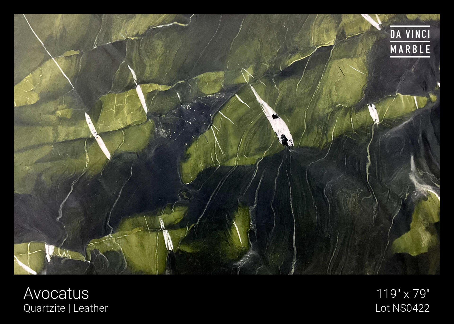 Avocatus