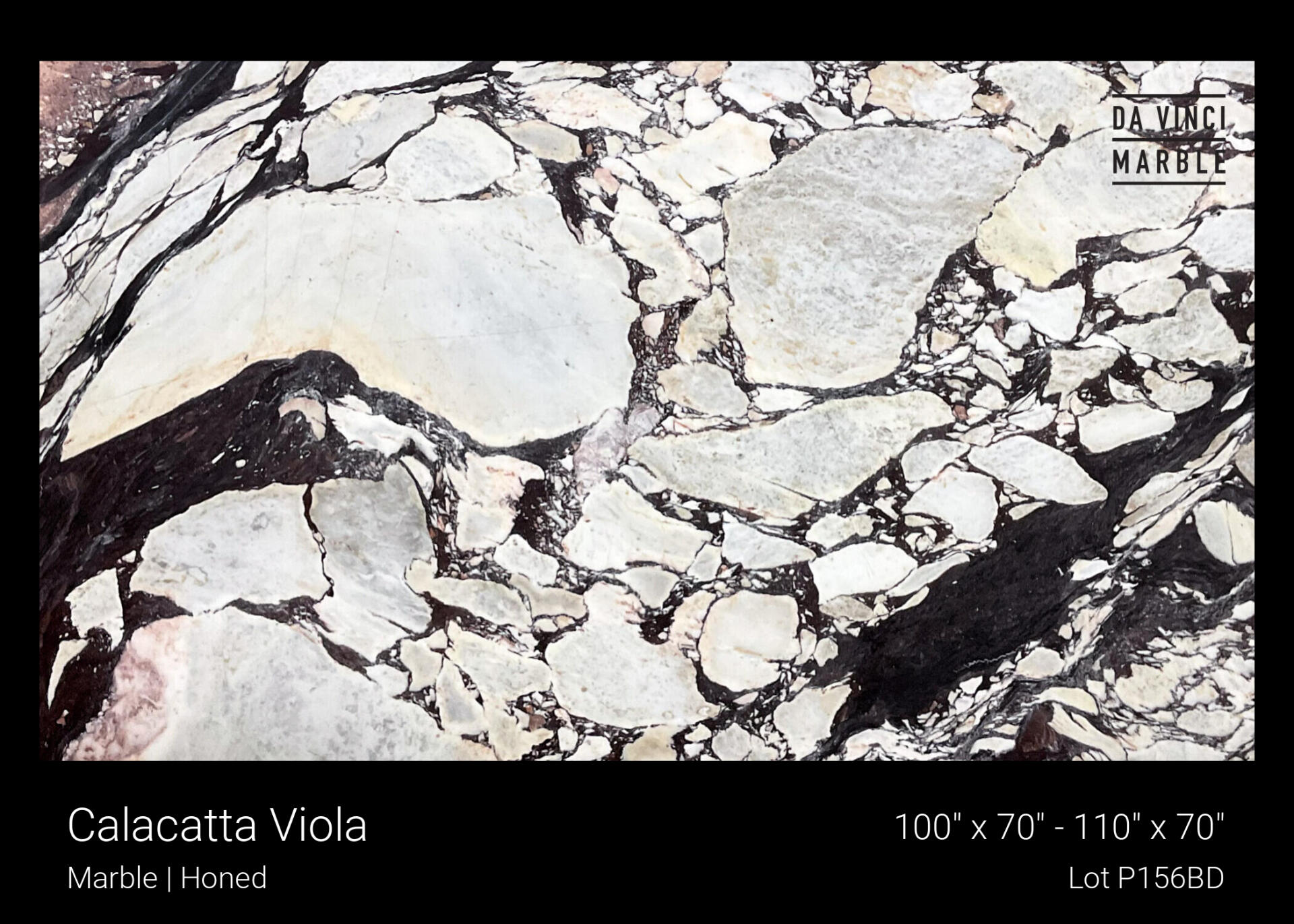 Calacatta Viola