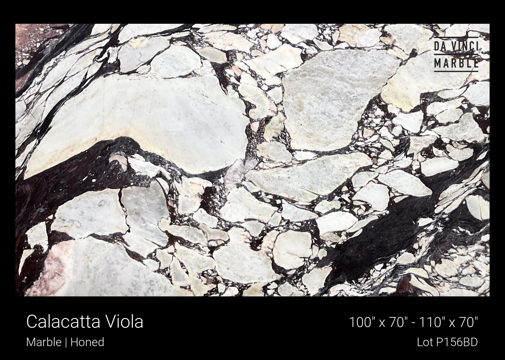 Calacatta Viola Slab
