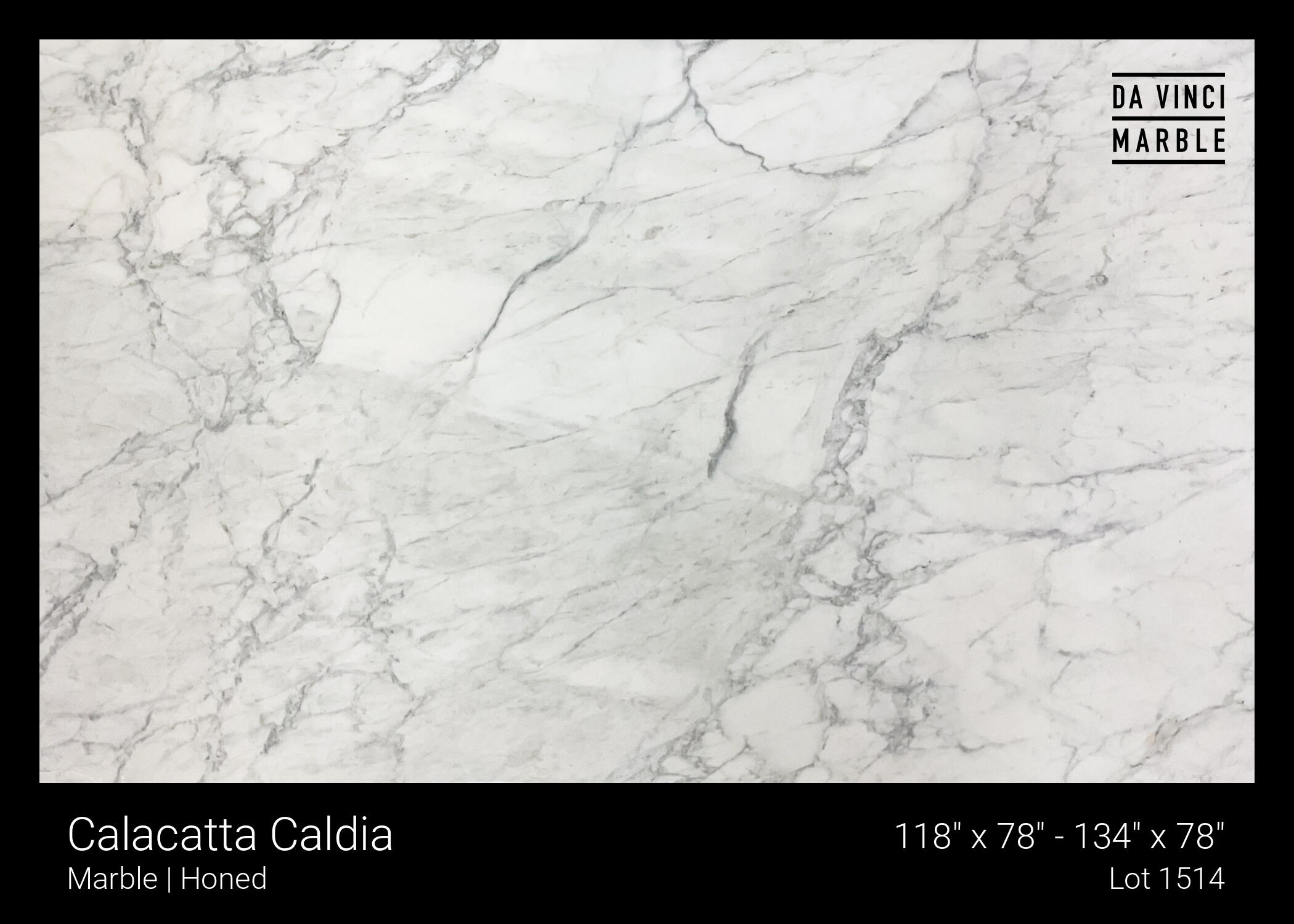 Calacatta Caldia Slab