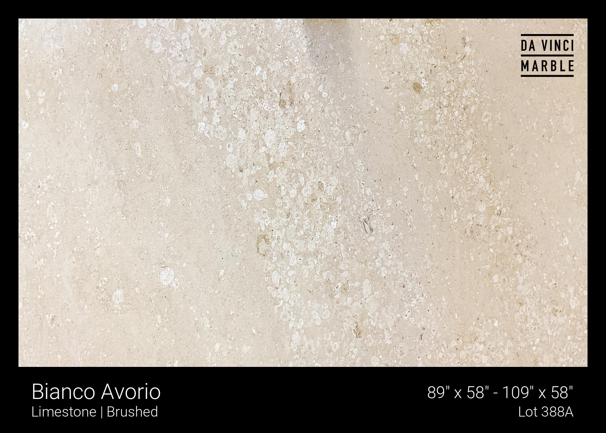 Bianco Avorio Slab