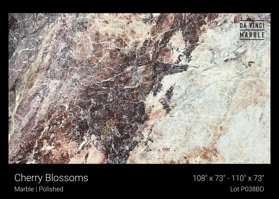 Cherry Blossoms