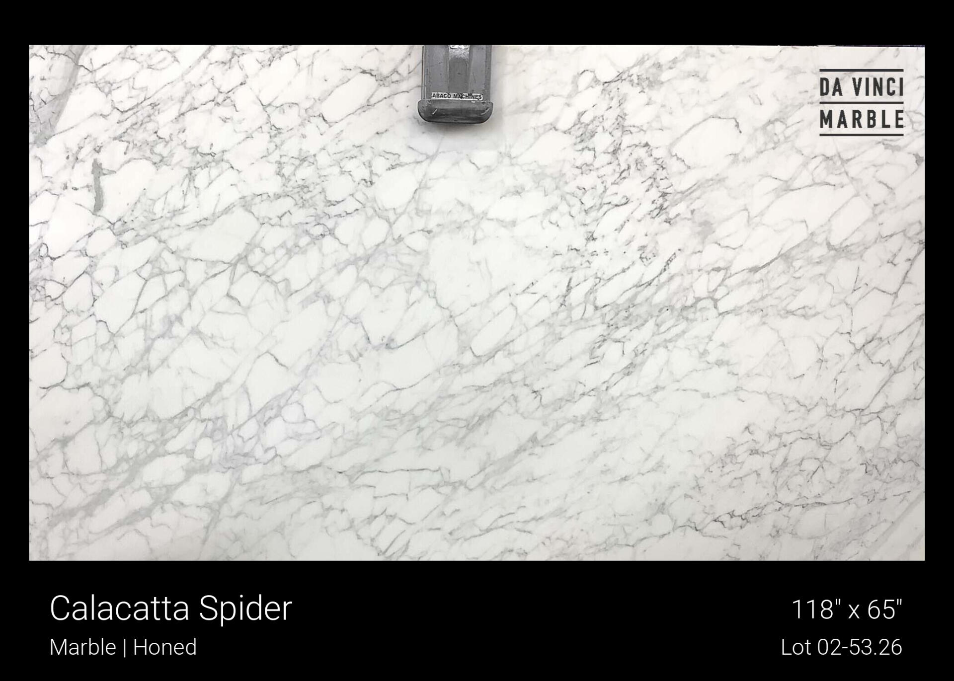 Calacatta Spider