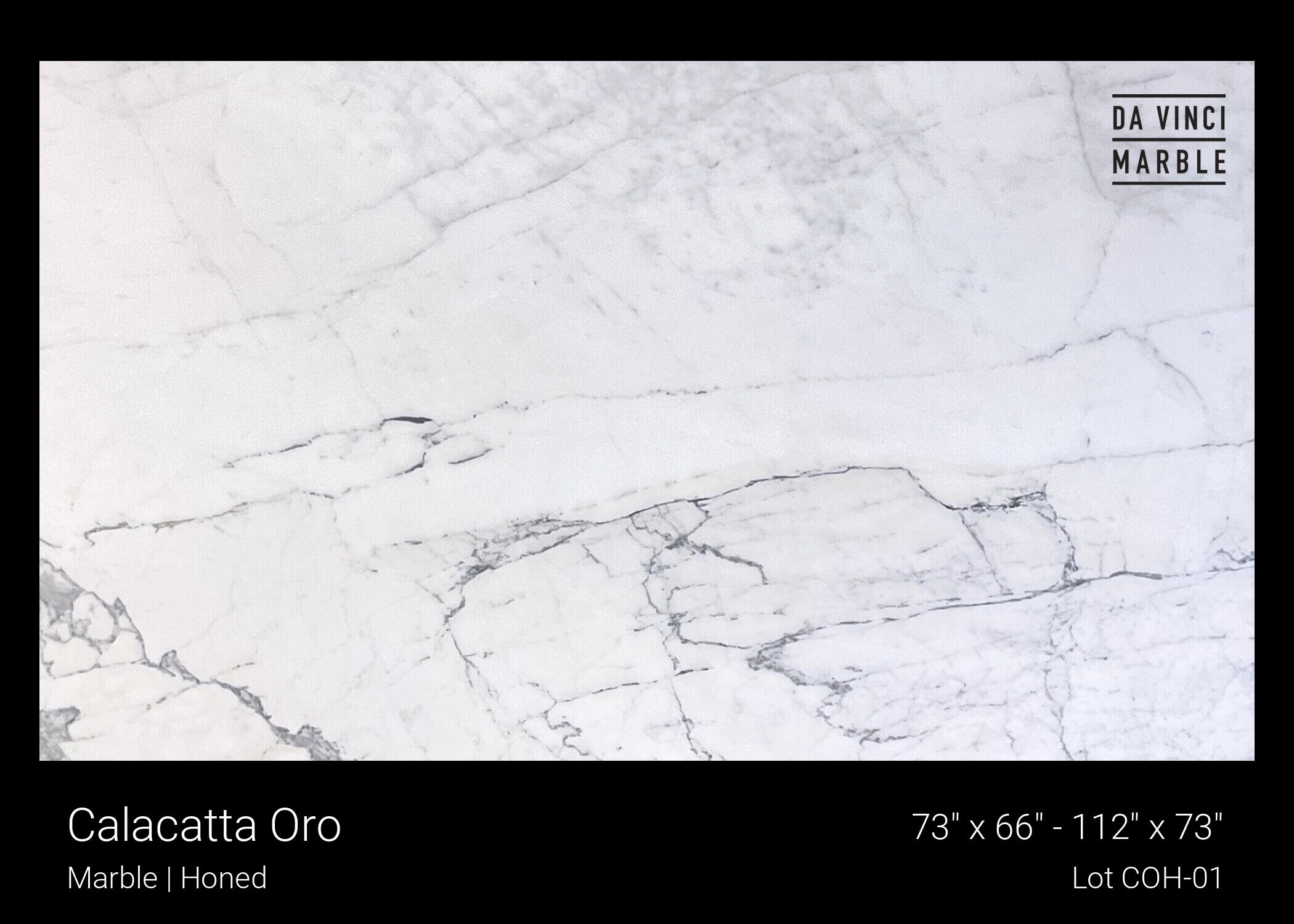Calacatta Oro Slab