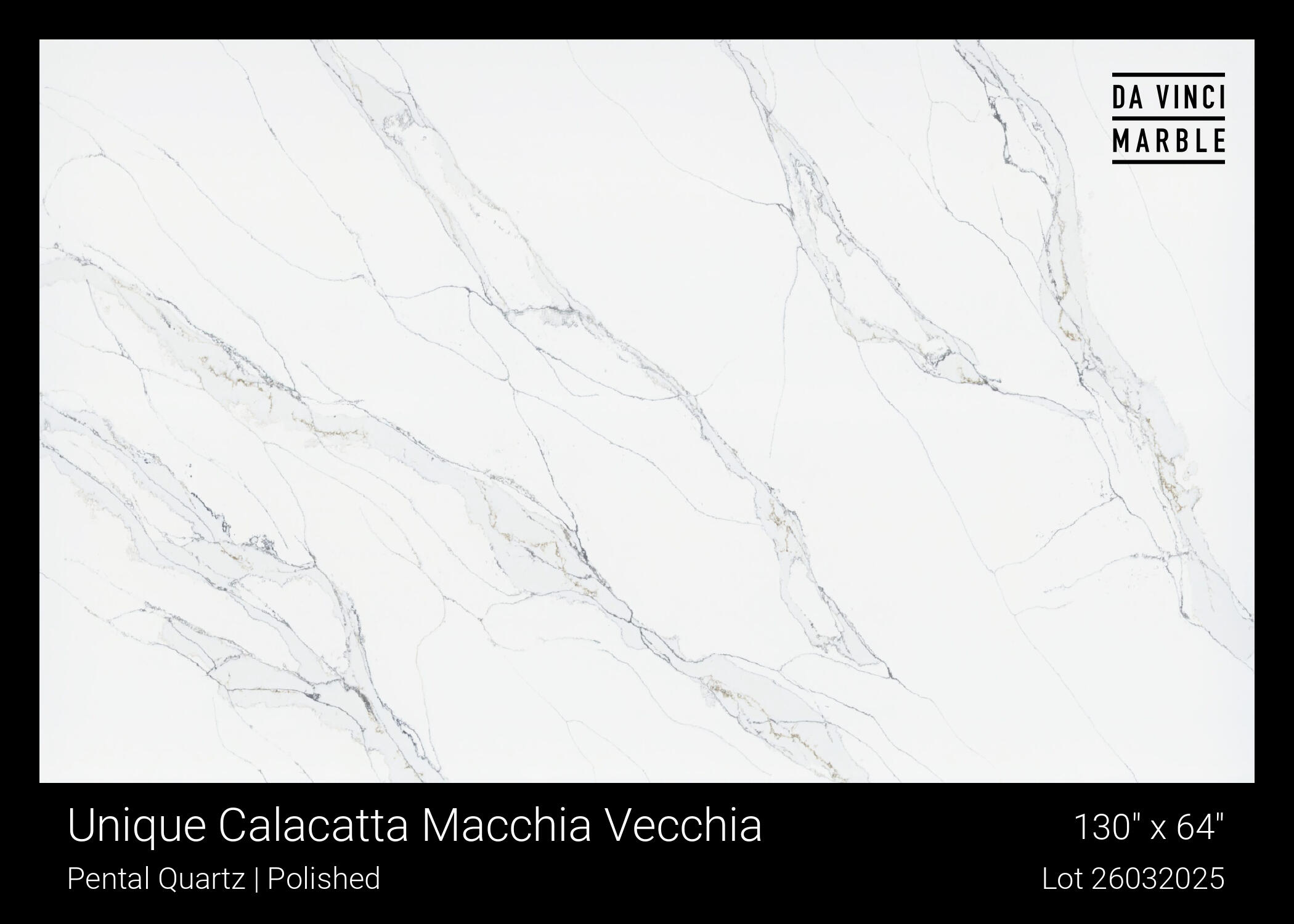 Unique Calacatta Macchia Vecchia Slab