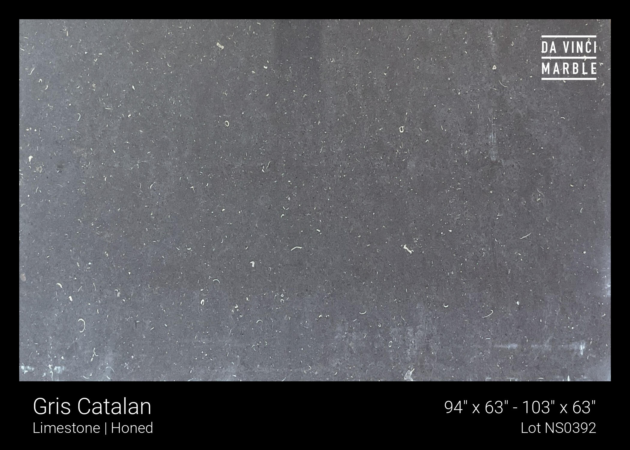 Gris Catalan Slab