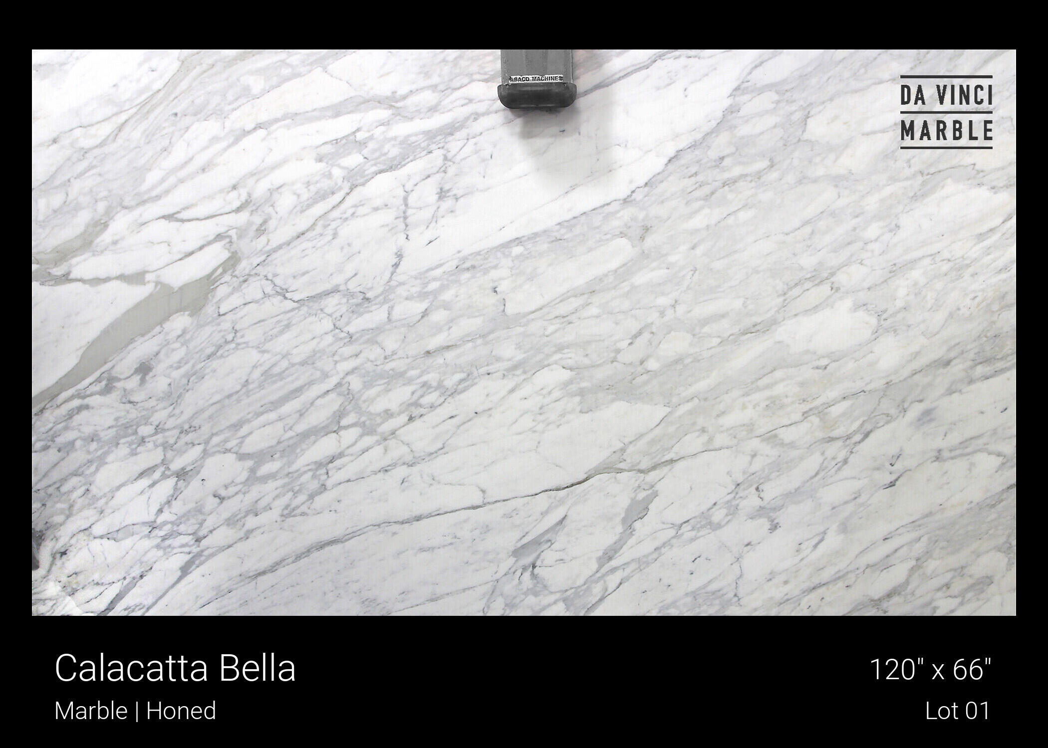 Calacatta Bella Honed 2cm Slab