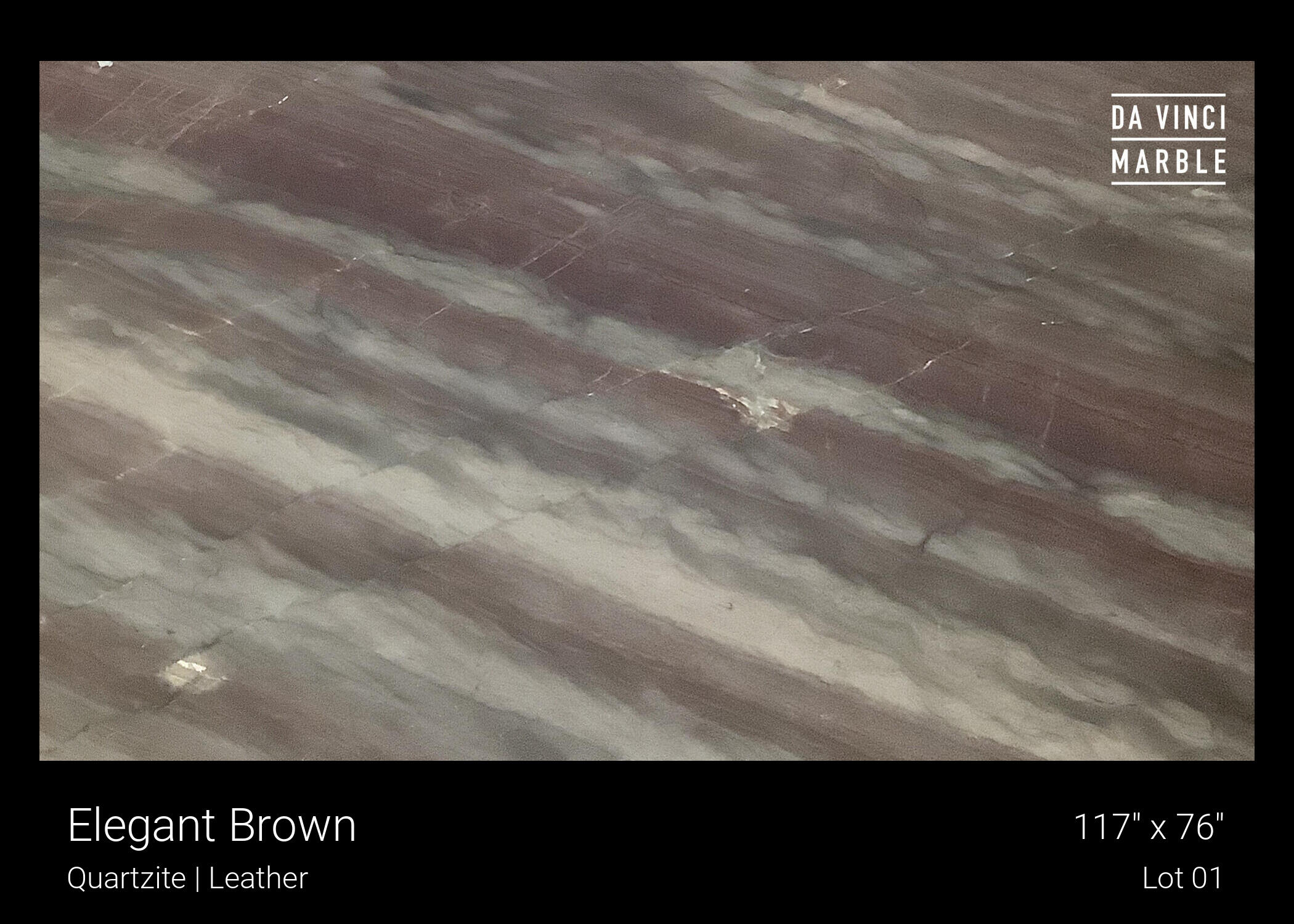 Elegant Brown