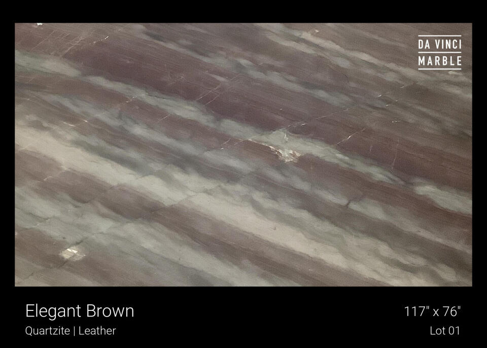 Elegant Brown Slab