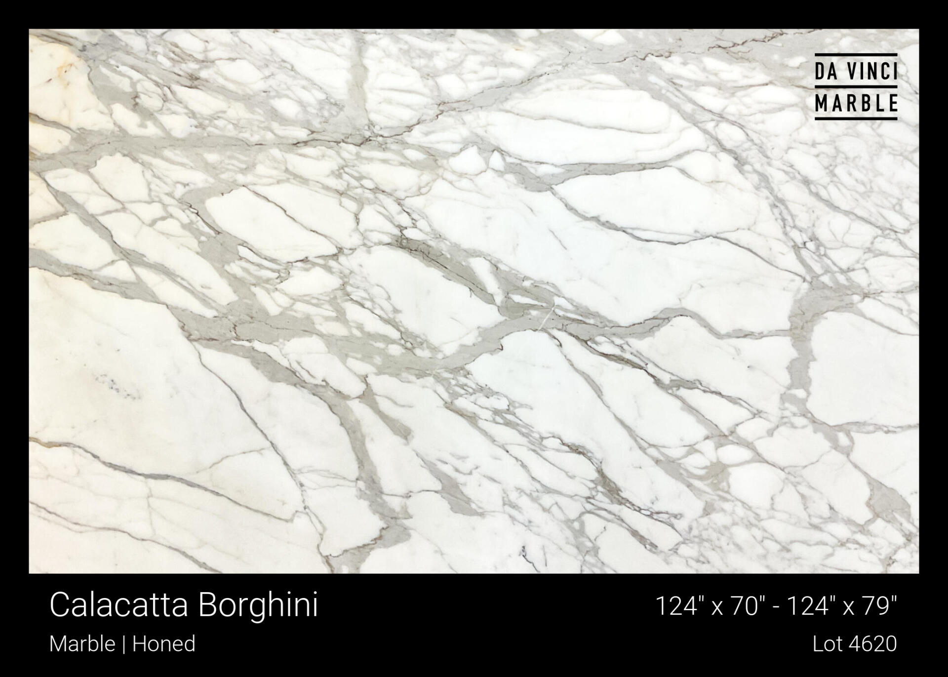 Calacatta Borghini