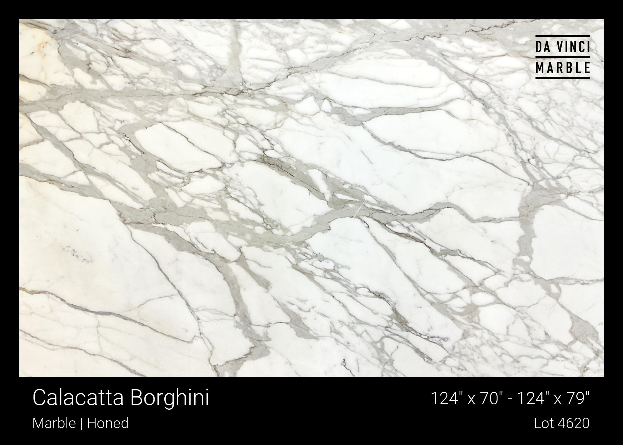 Calacatta Borghini Slab