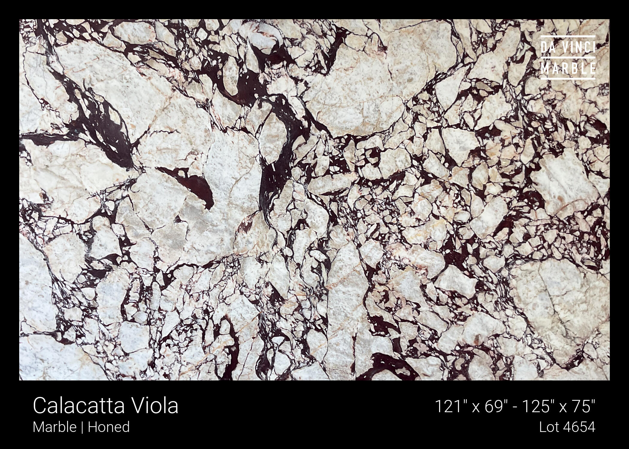 Calacatta Viola Honed 2cm Slab