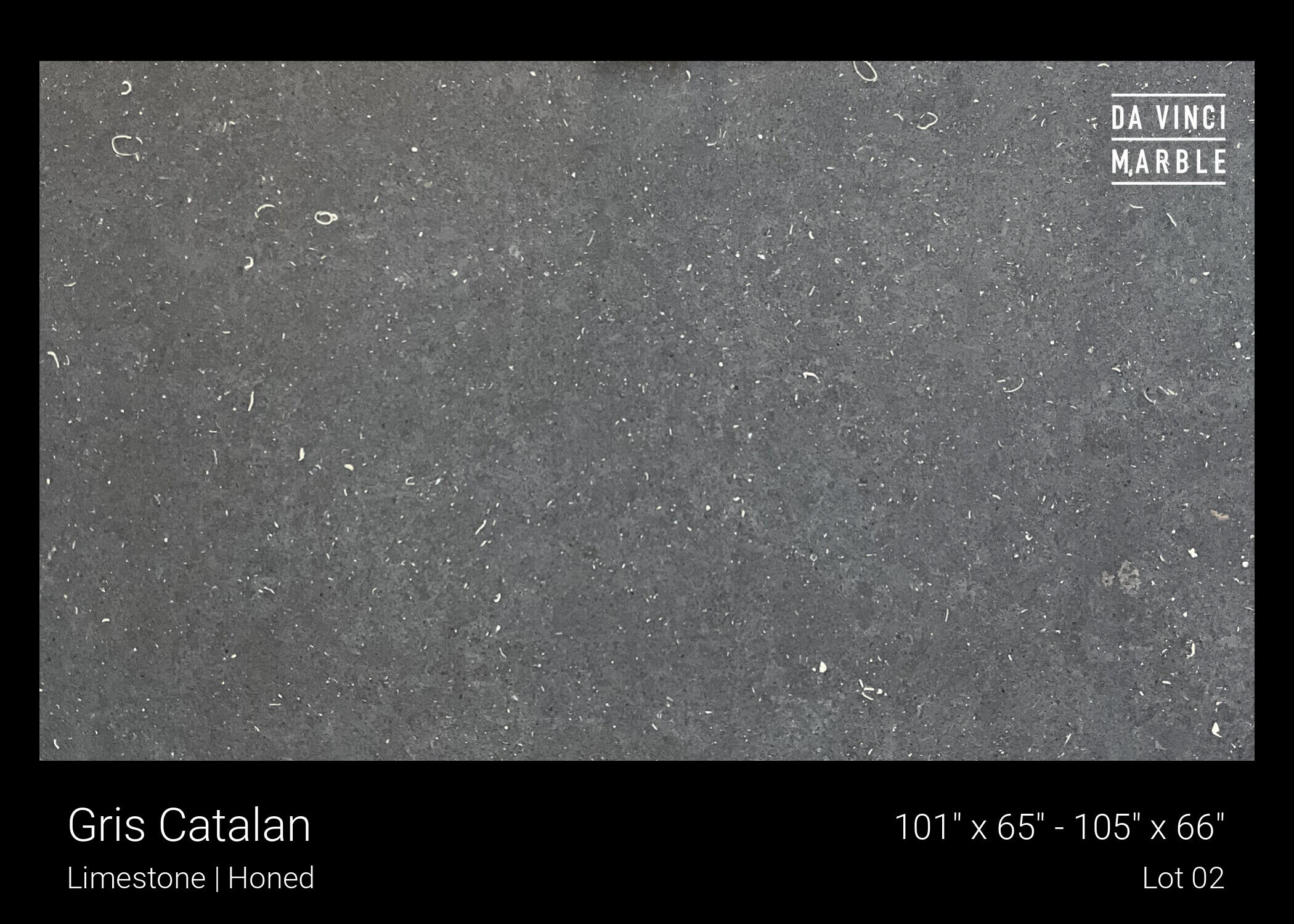 Gris Catalan Slab