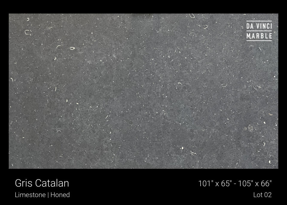 Gris Catalan Slab