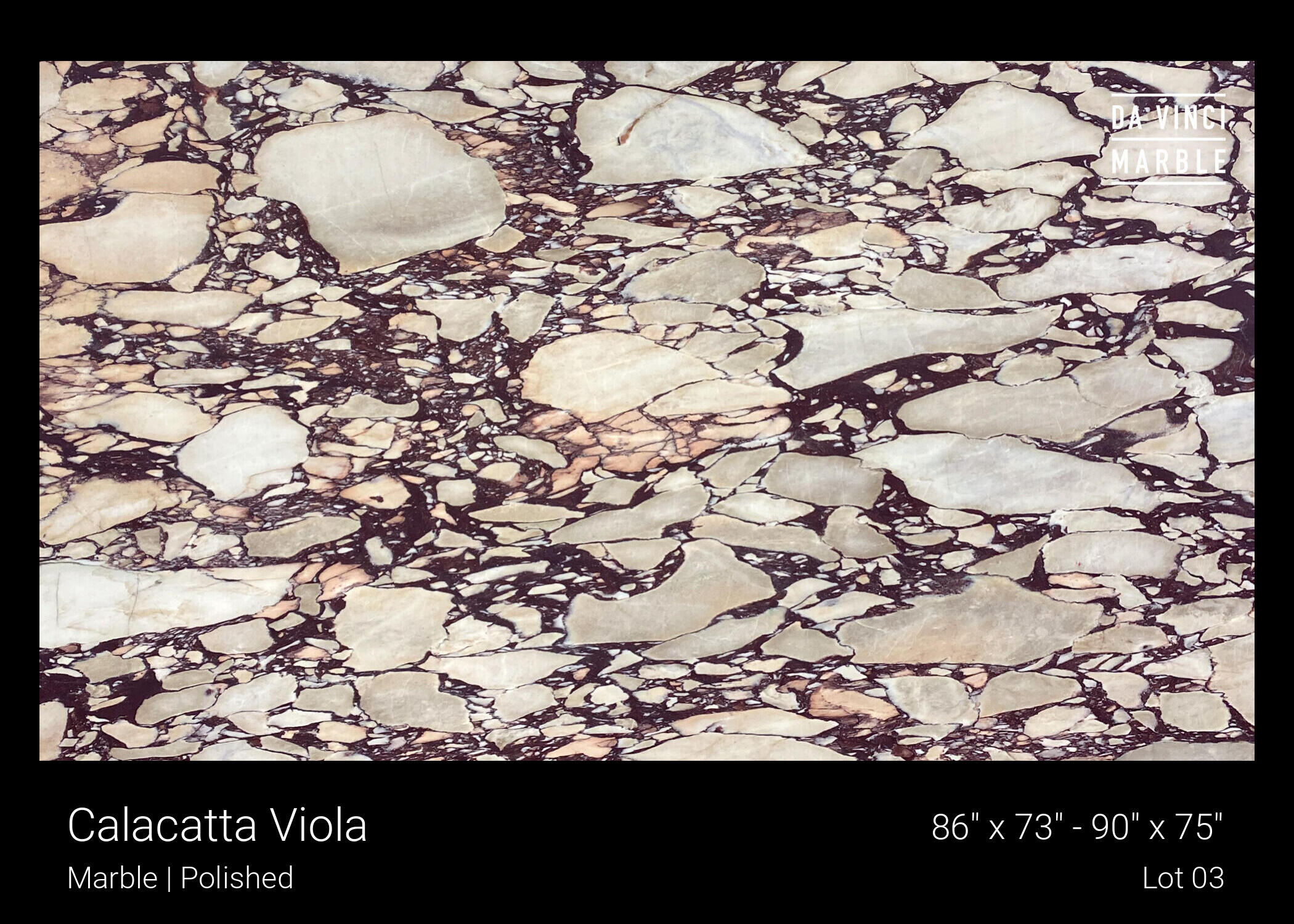 Calacatta Viola Slab