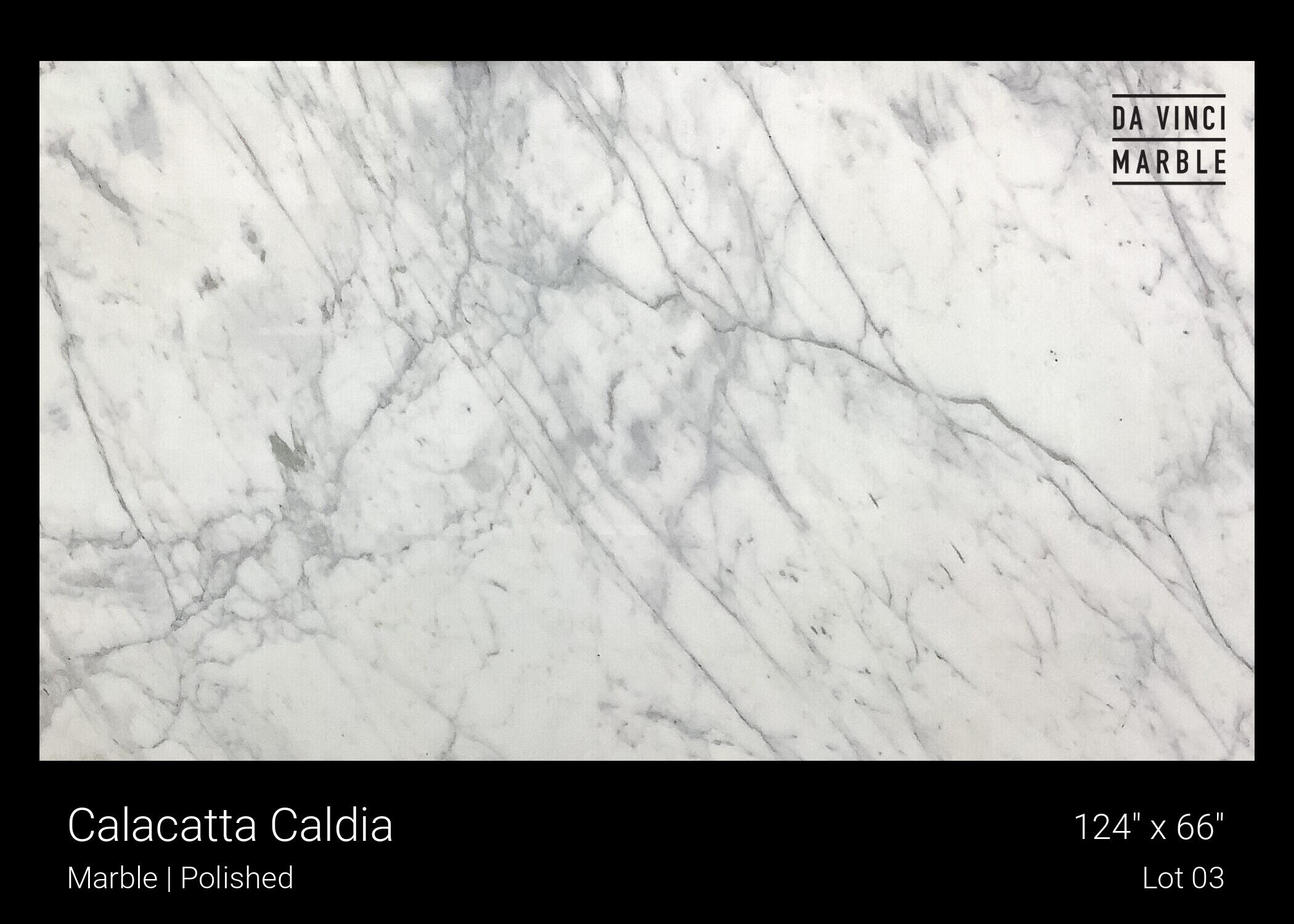 Calacatta Caldia Slab