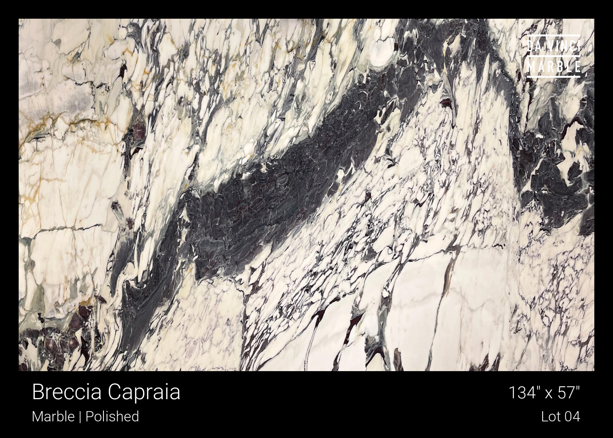 Breccia Capraia Slab