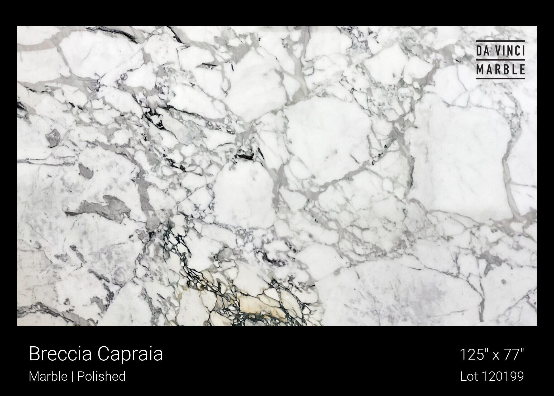 Breccia Capraia Slab