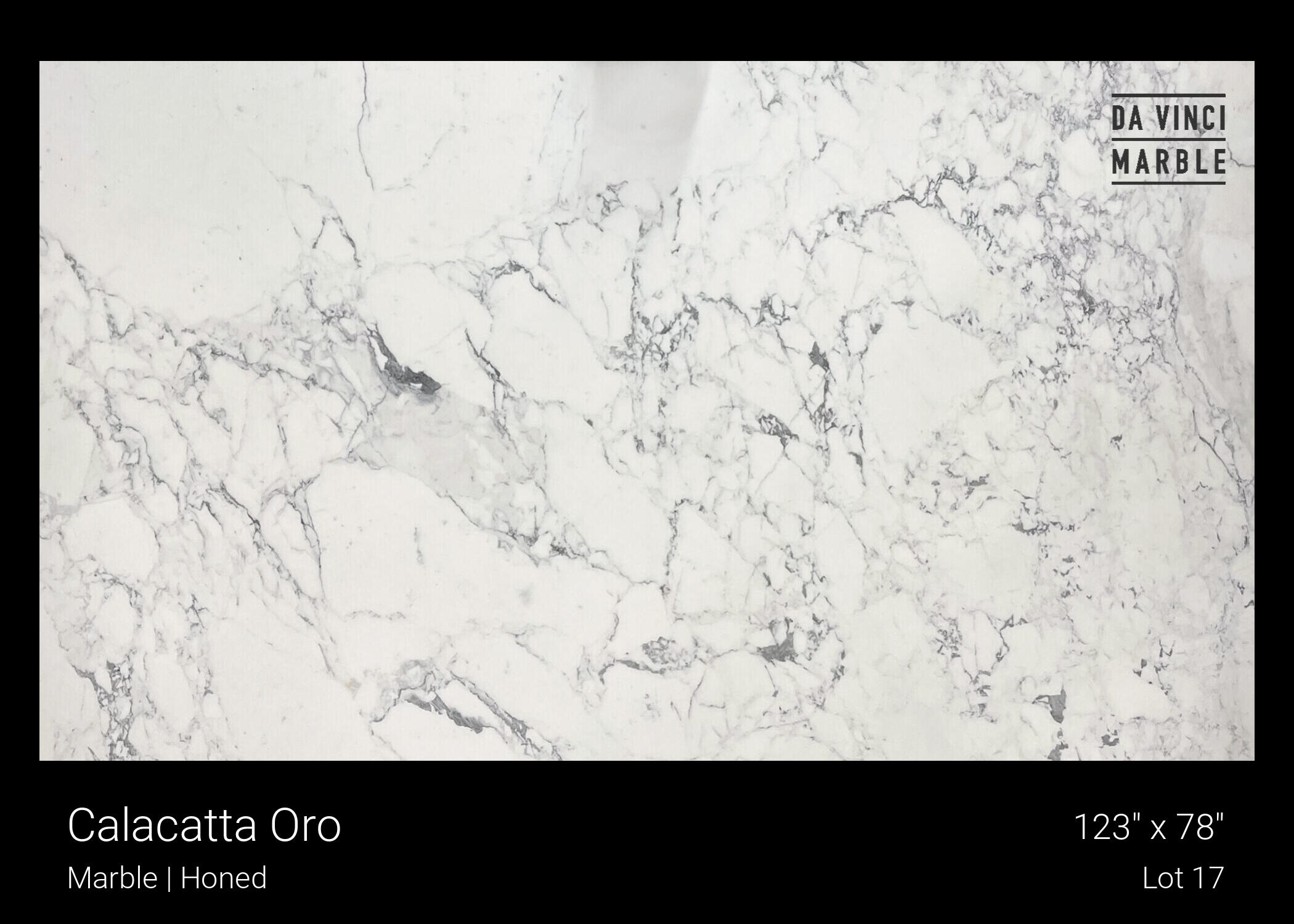 Calacatta Oro Slab