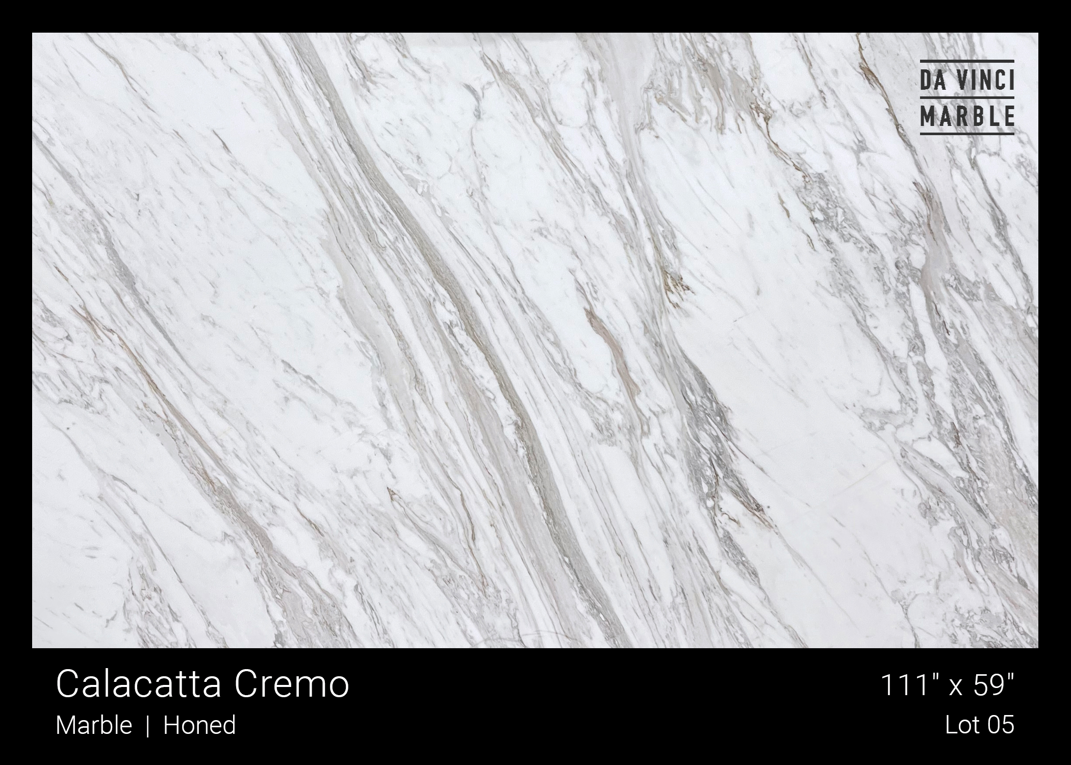 Calacatta Cremo Honed 3/4