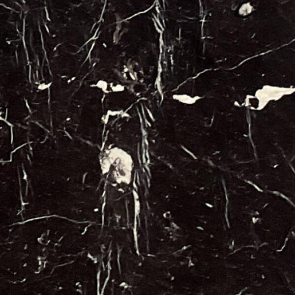 Negro Marquina 1St Choice 3/4