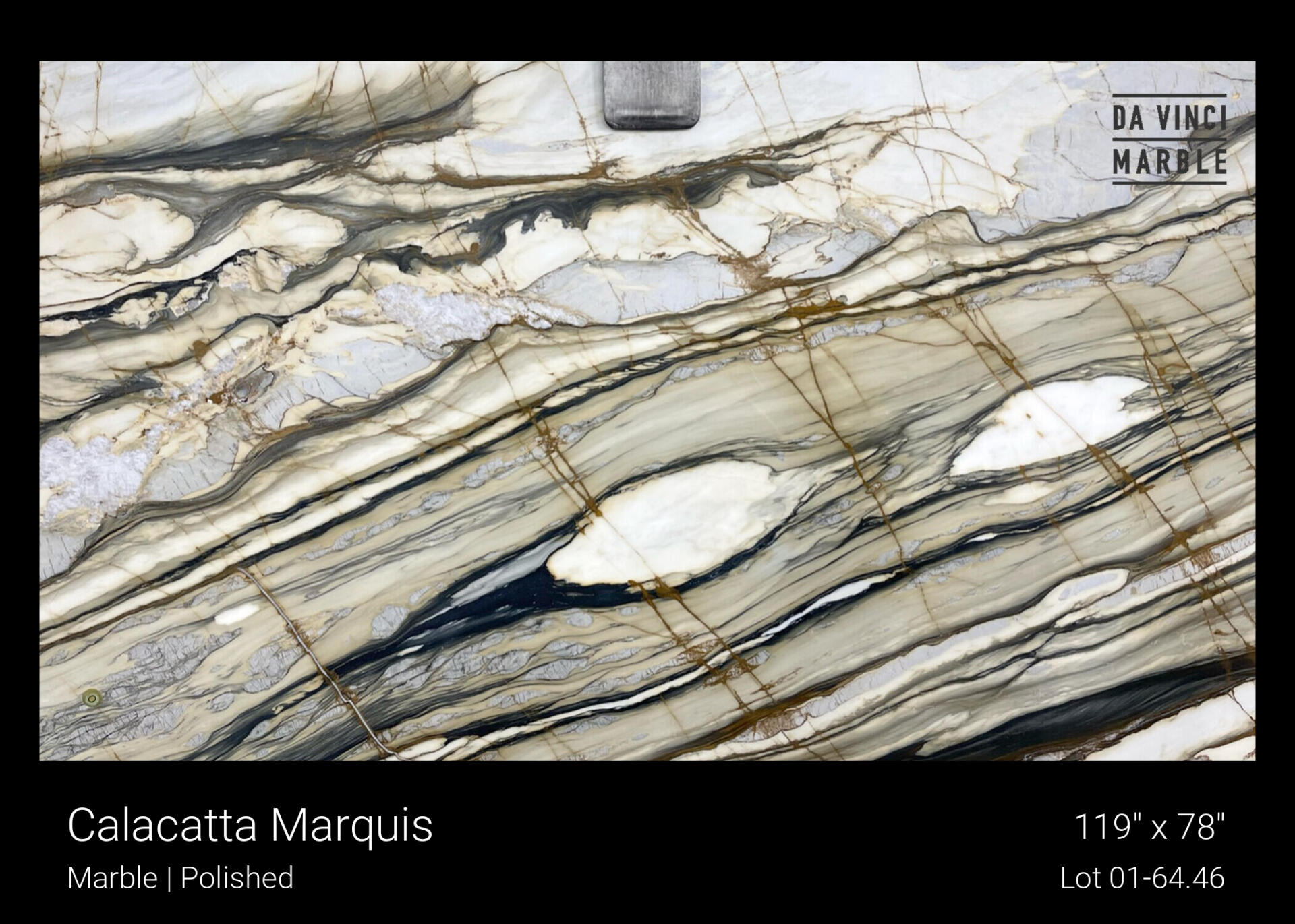 Calacatta Marquis