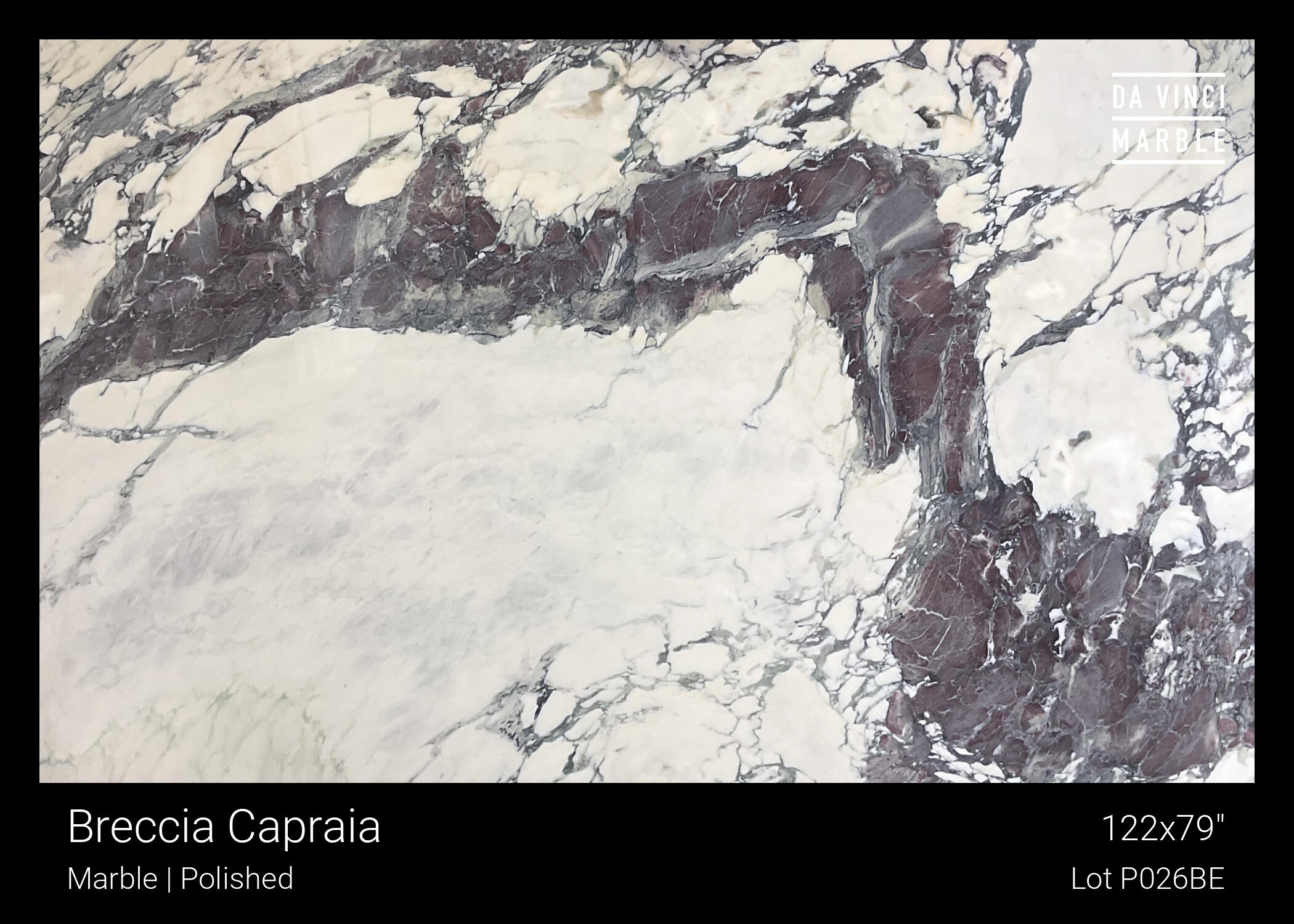 Breccia Capraia Polished 2cm Slab