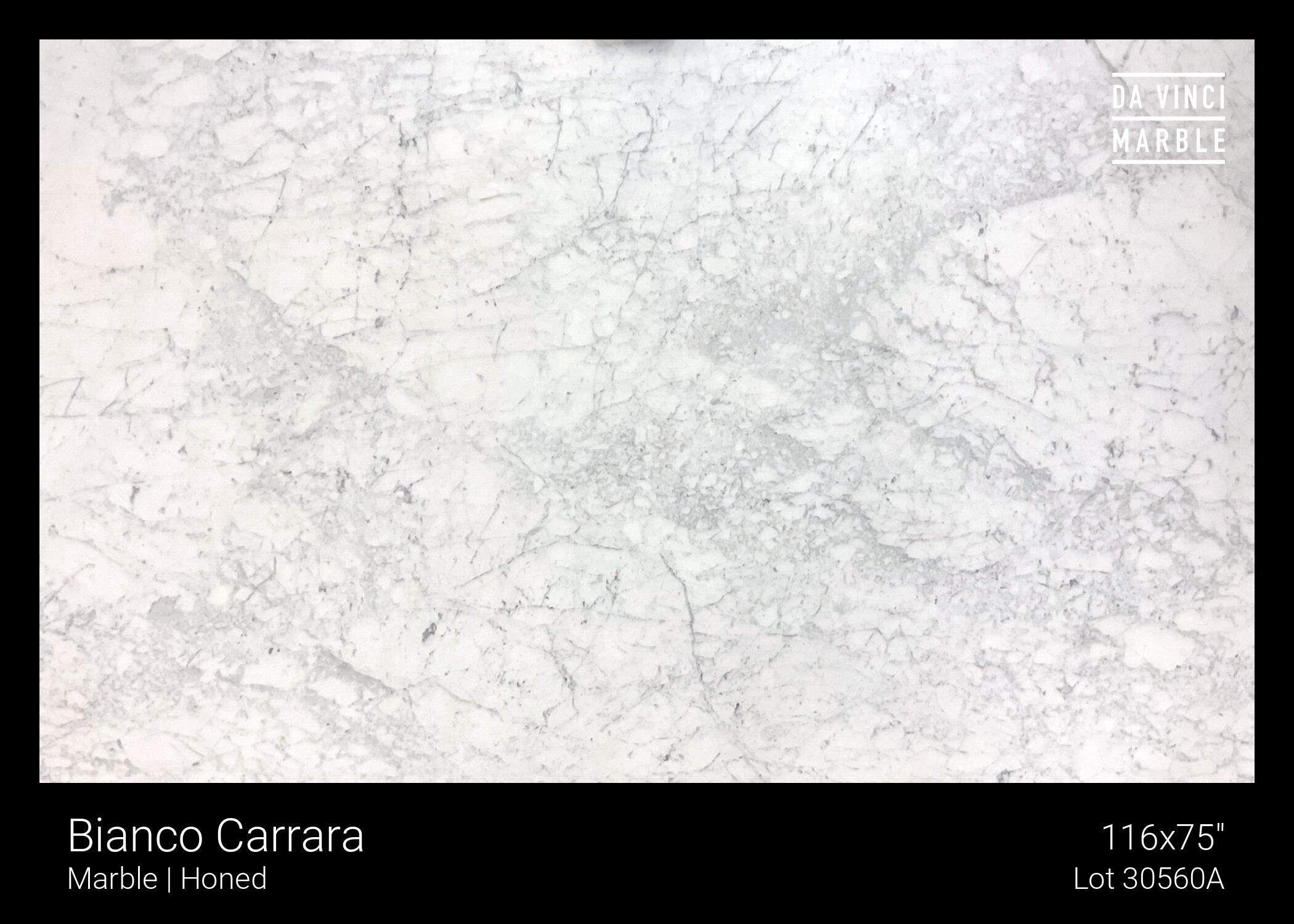 Bianco Carrara Honed Finish 3cm Slab