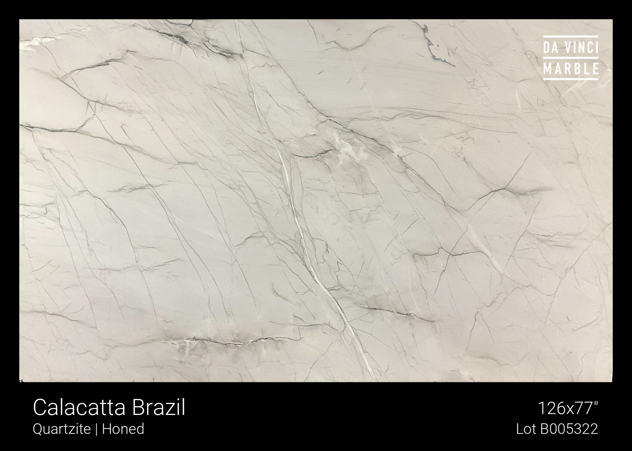 Calacatta Brazil Honed 2cm Slab
