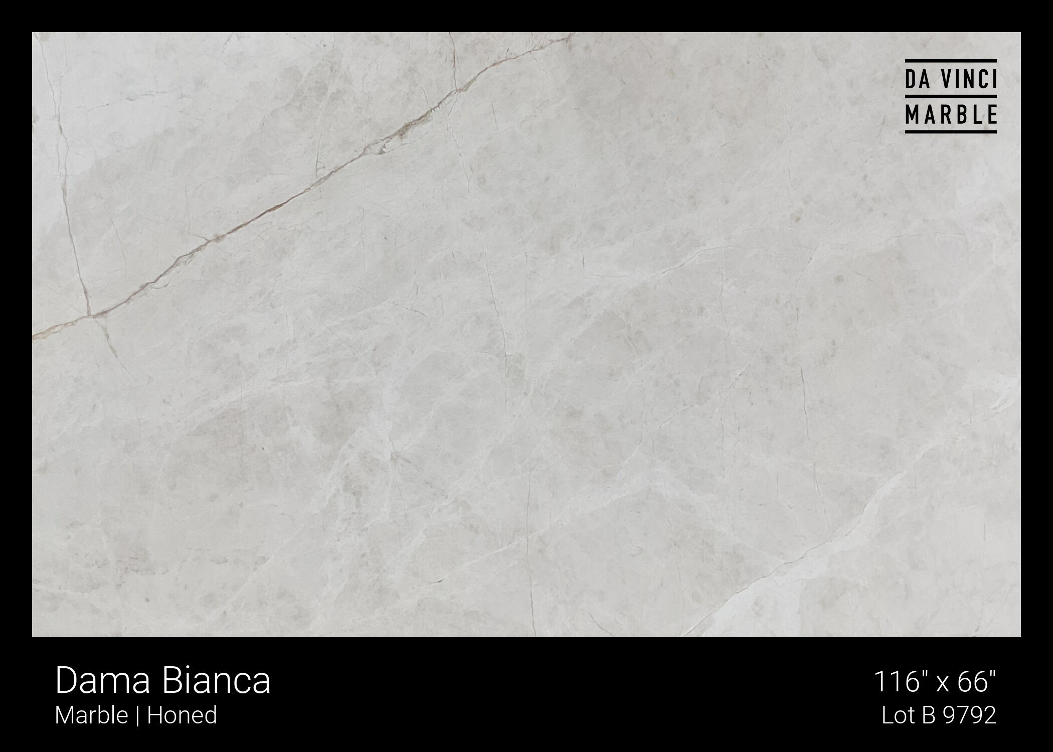 Dama Bianca Slab