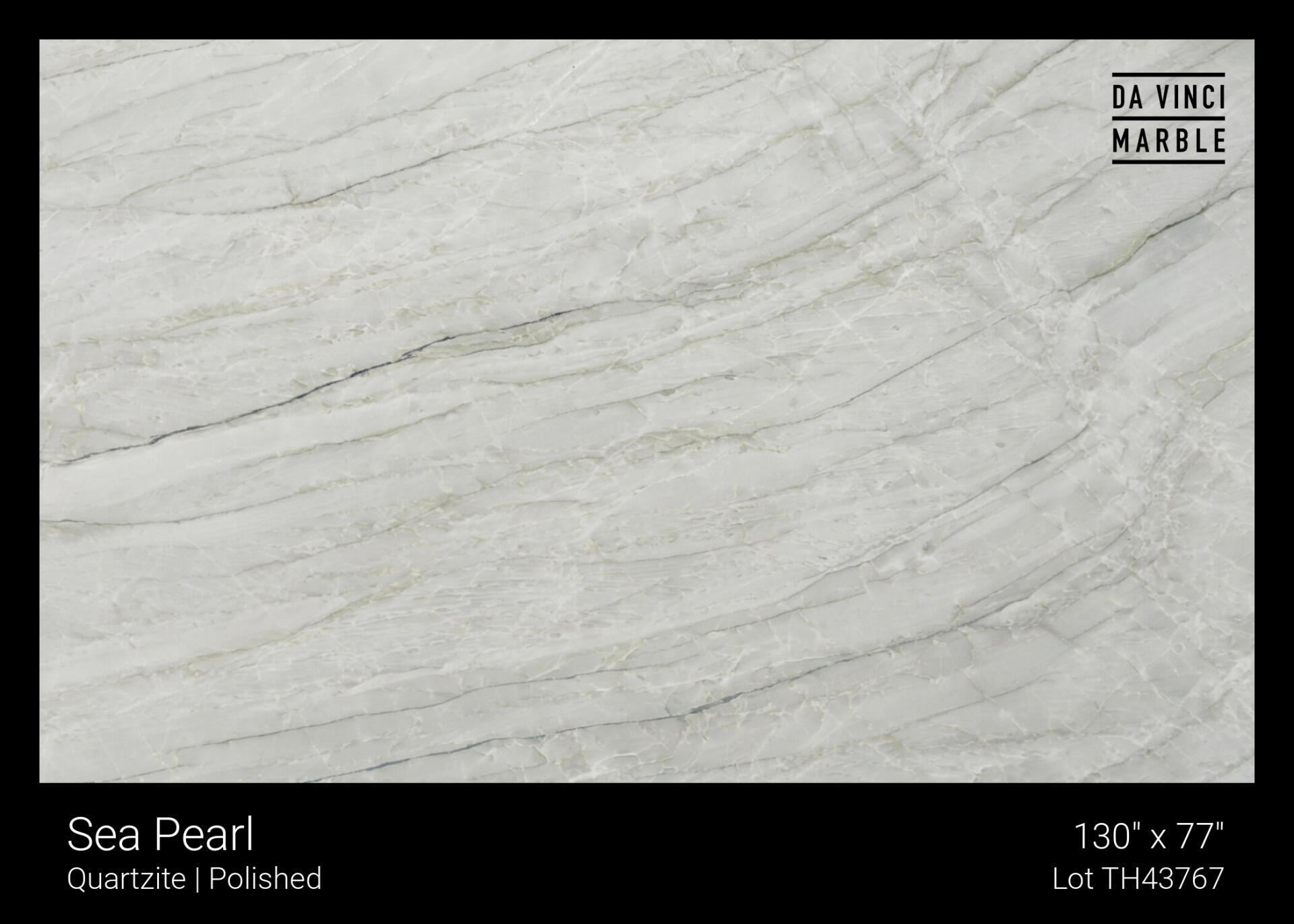 Sea Pearl