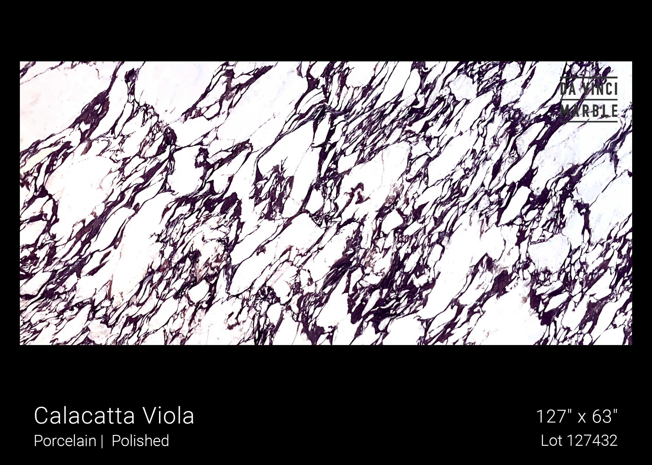 Calacatta Viola Slab