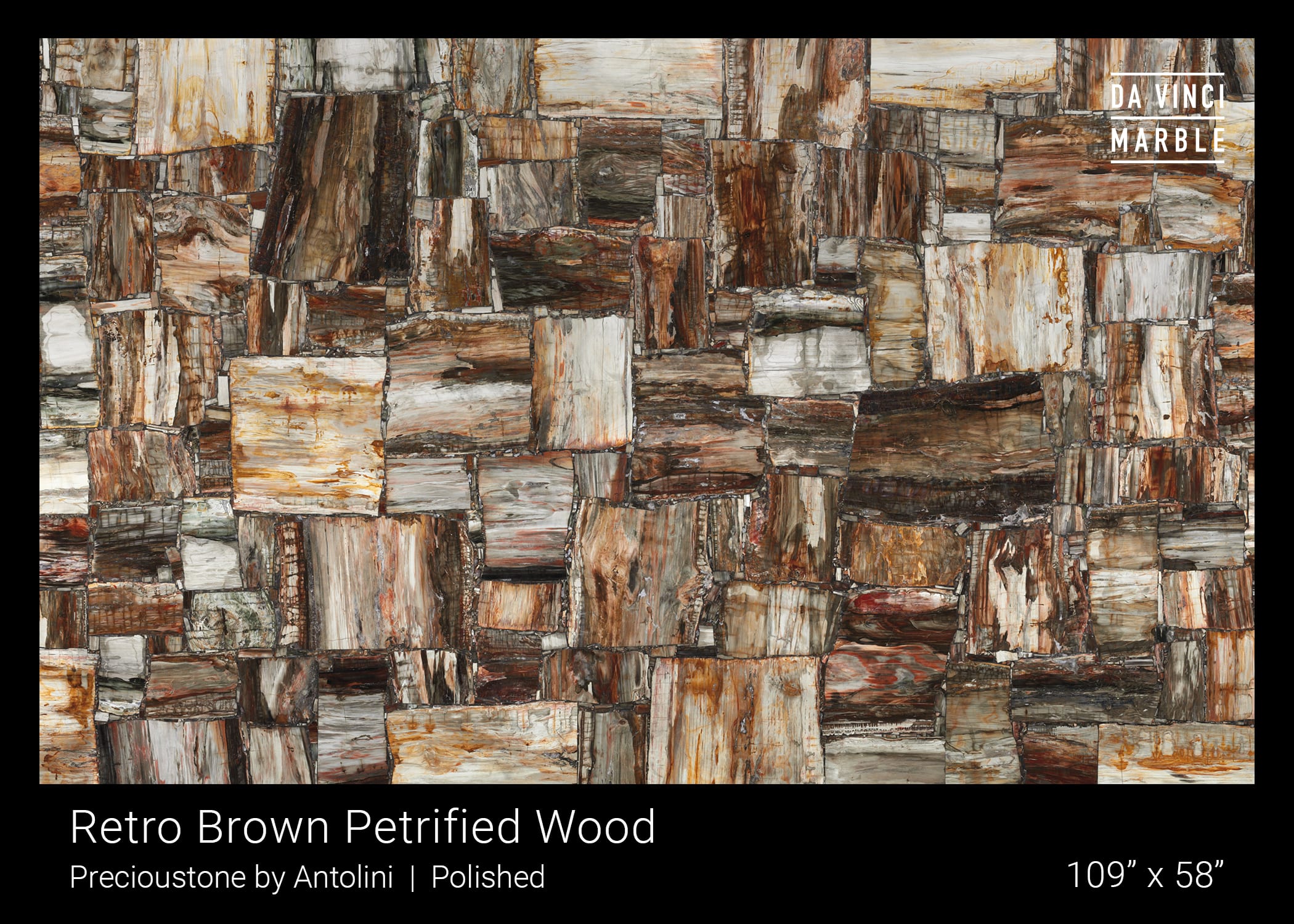 Retro Brown Petrified Wood Slab