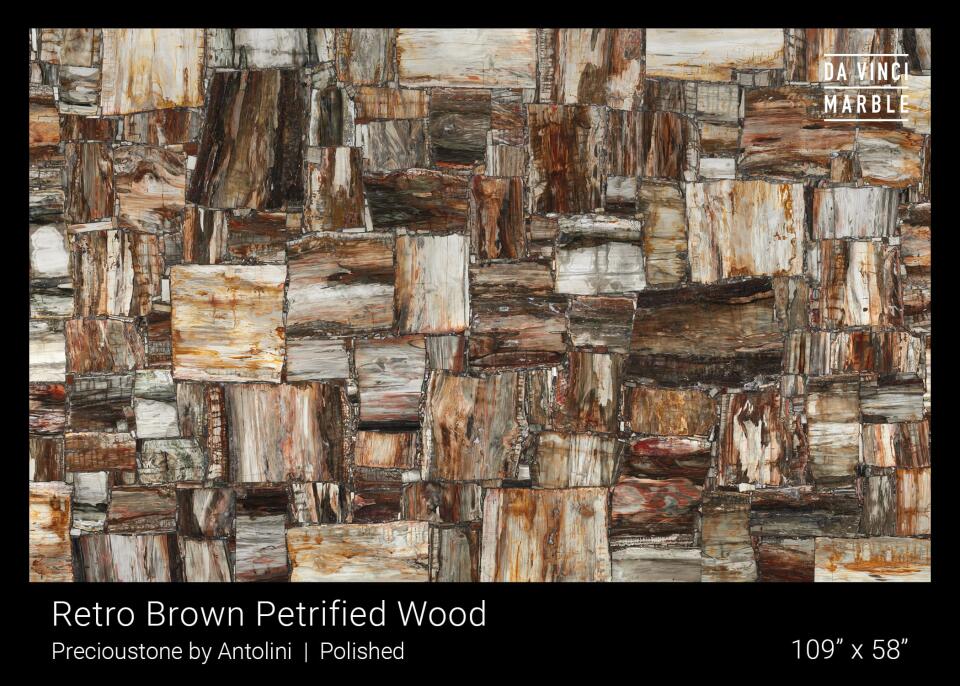 Retro Brown Petrified Wood Slab