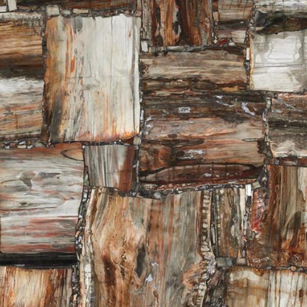 Retro Brown Petrified Wood