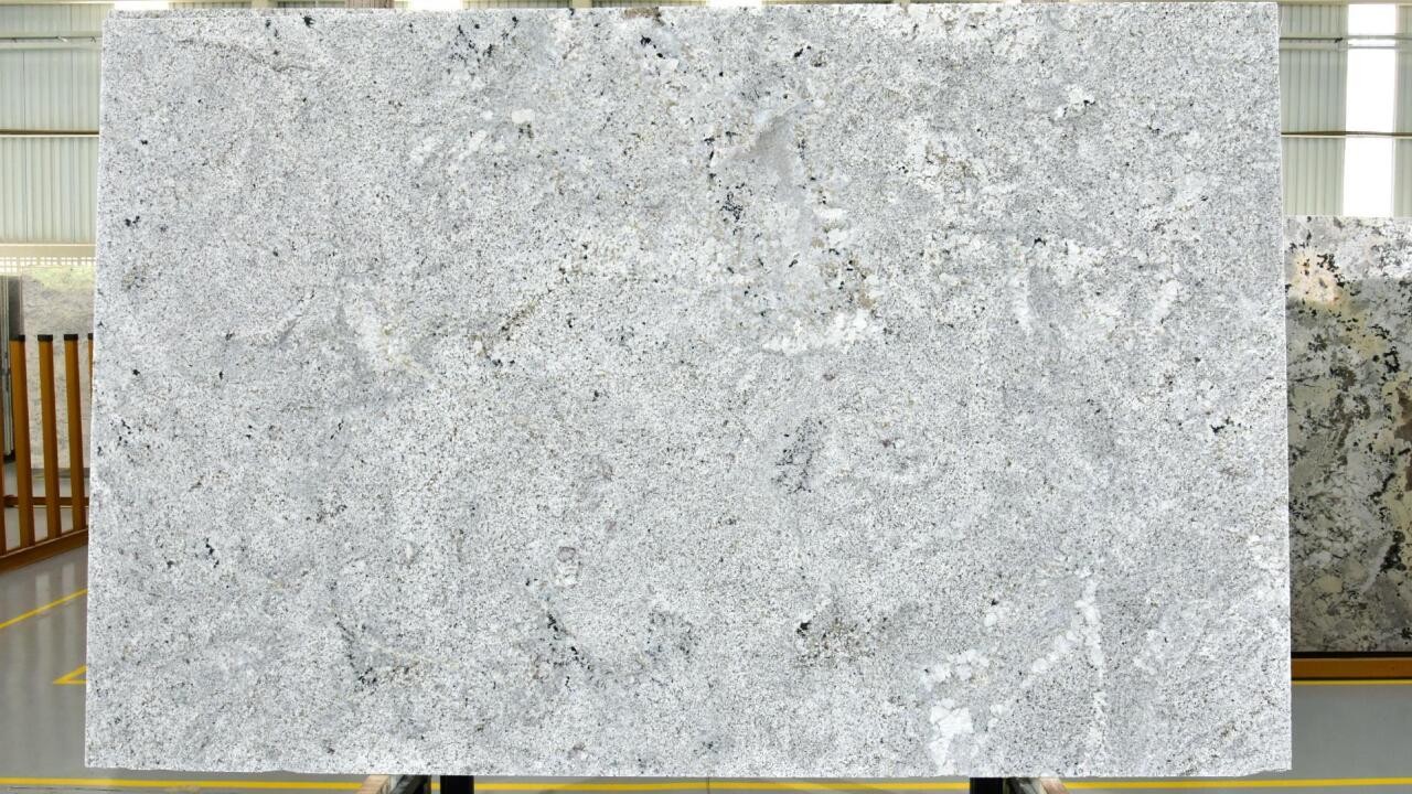 Andino White