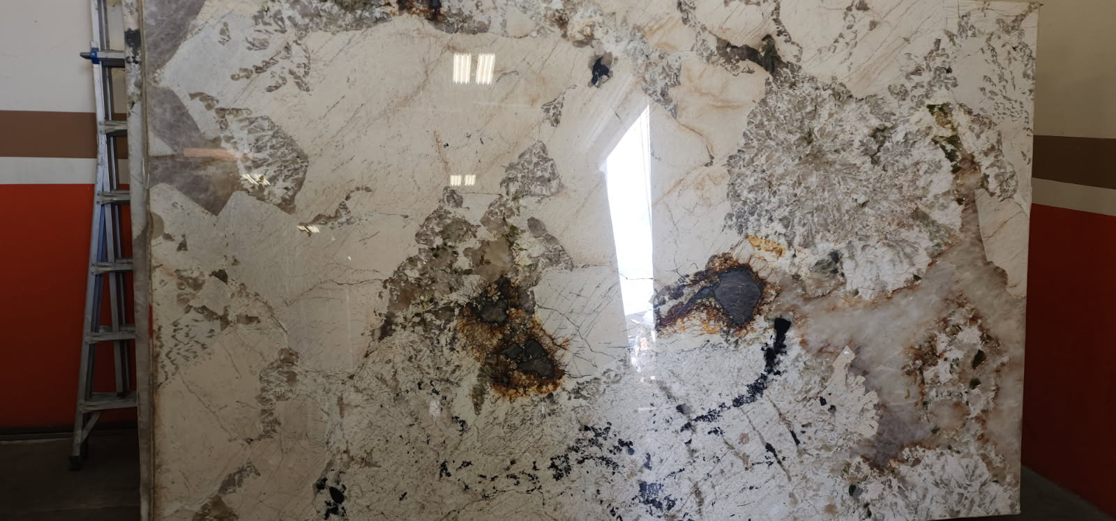 Alpinus Polished 2cm Granite by PACIFICA