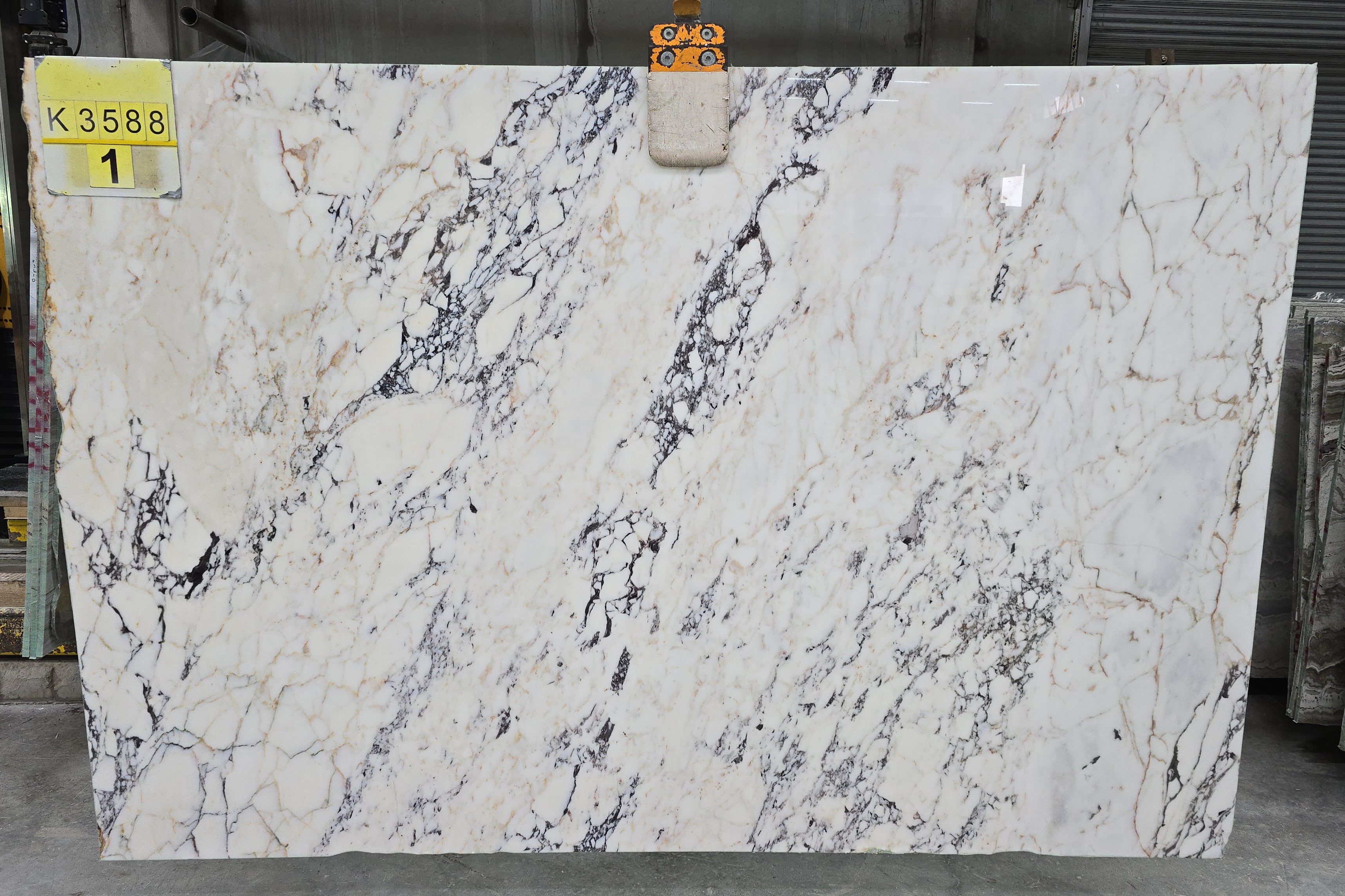 Calacatta Viola Marble slab at Modul Marble