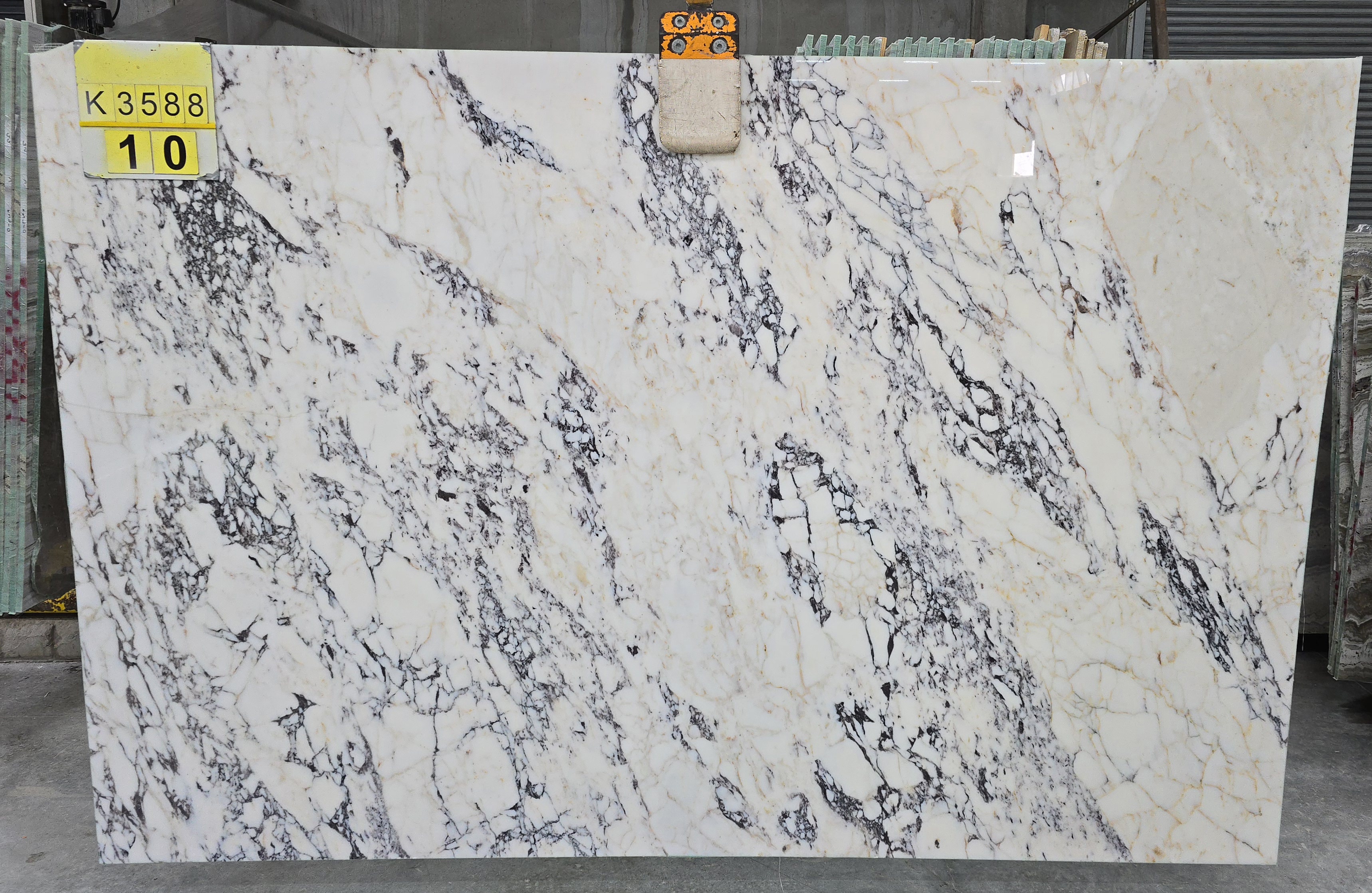 Calacatta Viola Marble slab at Modul Marble
