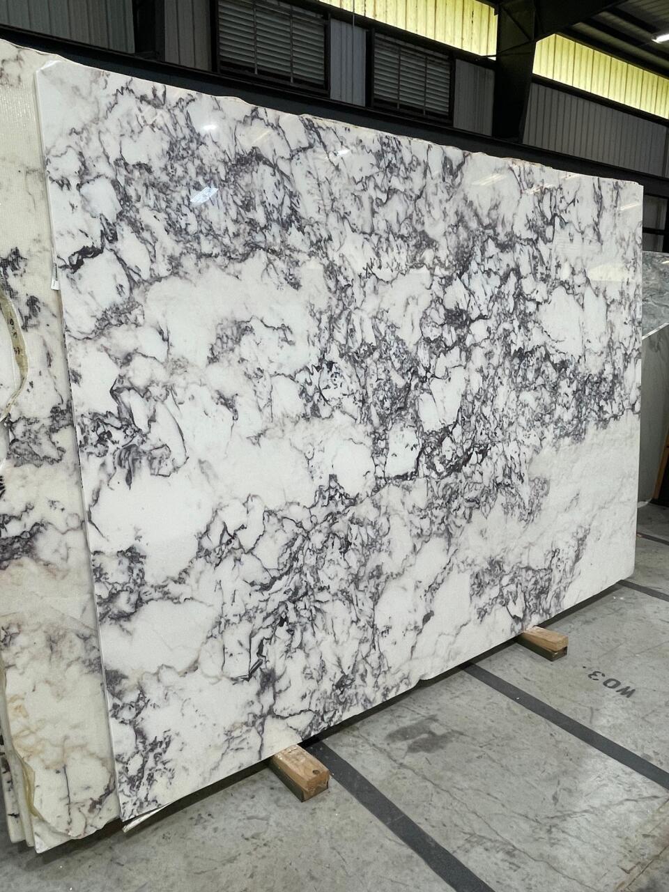 Breccia Gorgona