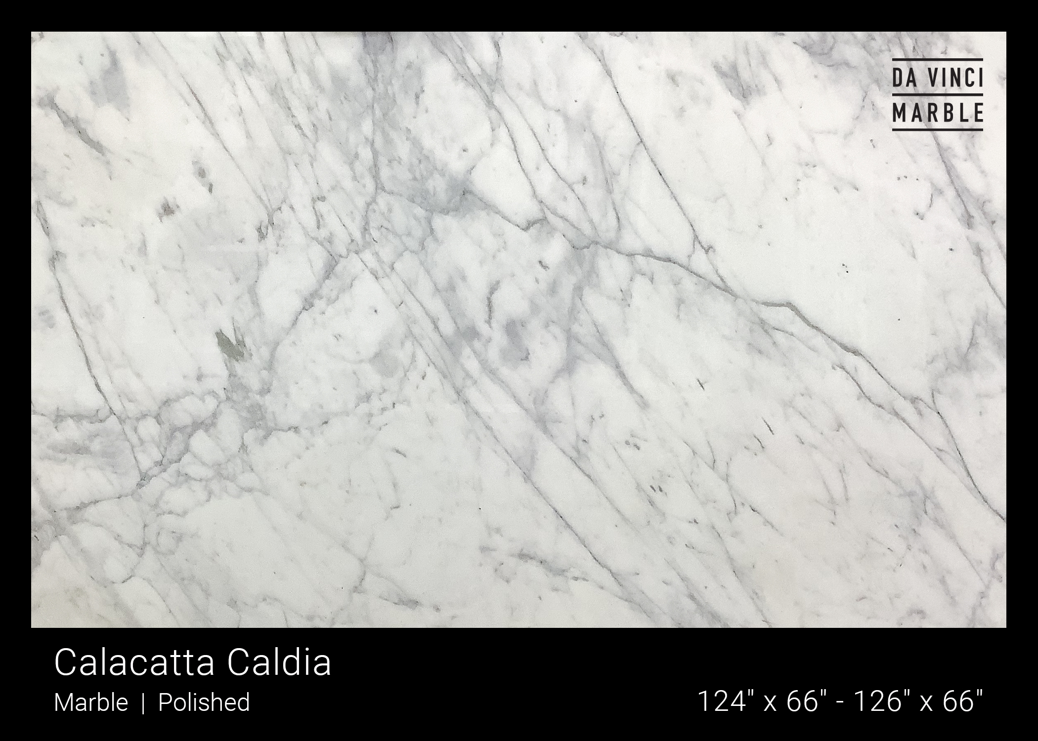 Calacatta Caldia